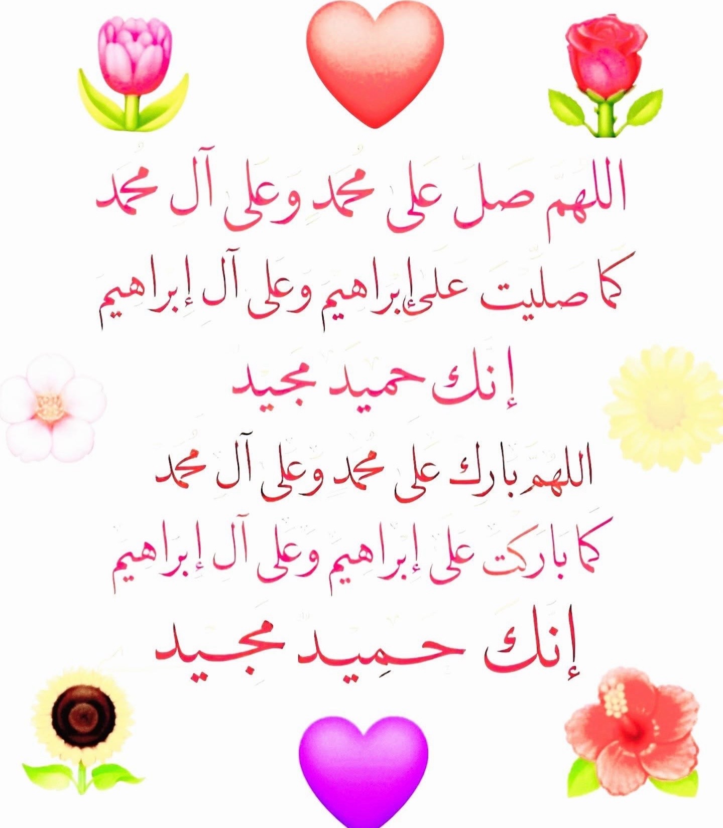 @Waheeda Sherzad