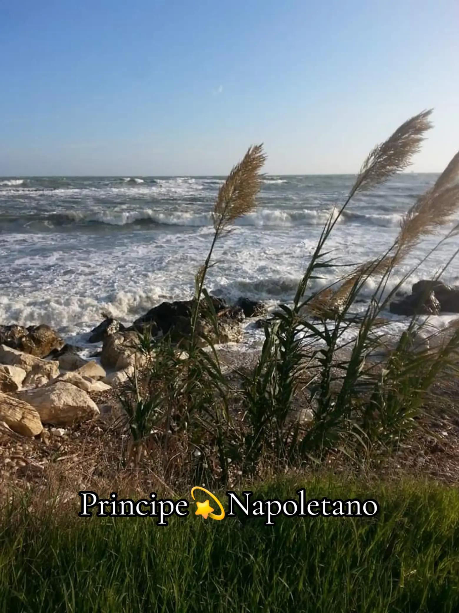 @🌟Principe💫Napoletano🌟