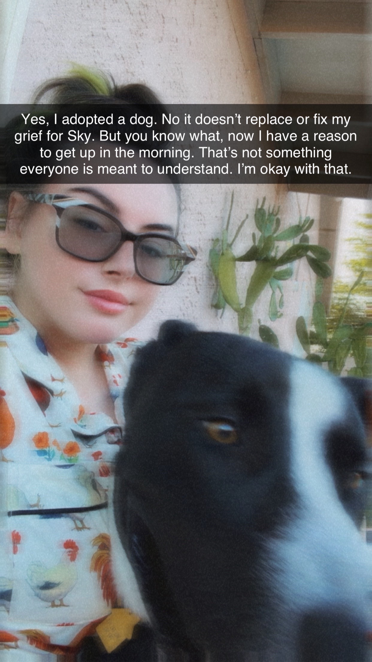 @HONEYDEW