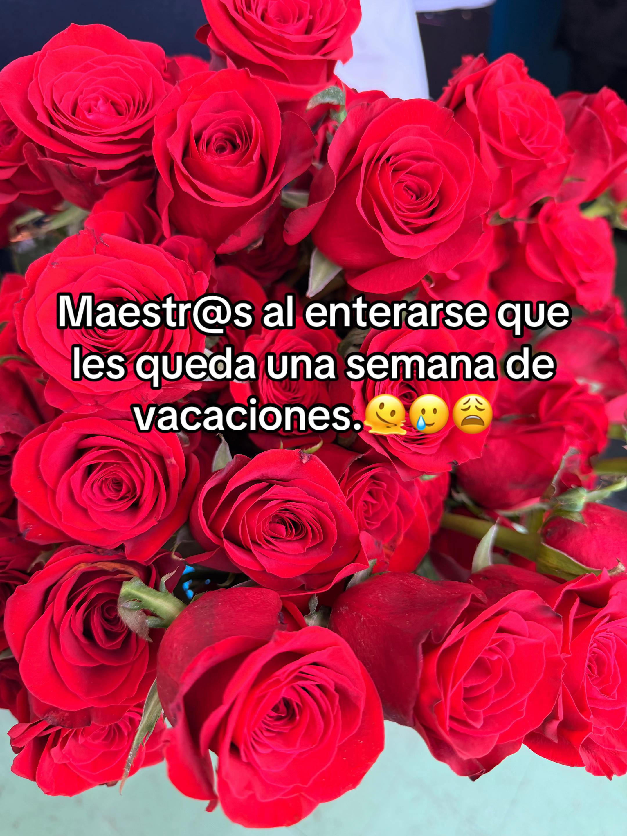 @Zaida👩🏫🌷