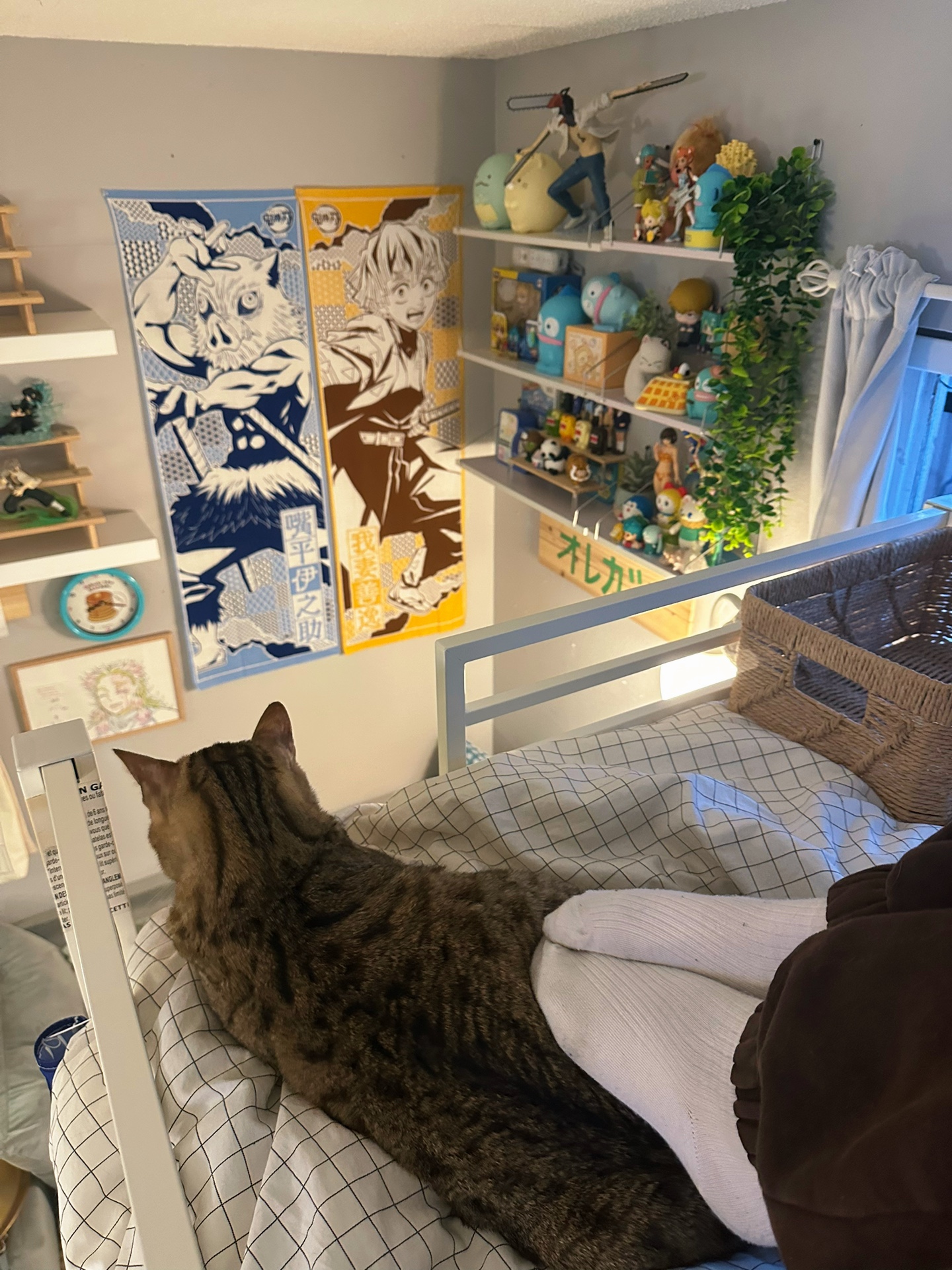 @oreocatsu ☘︎
