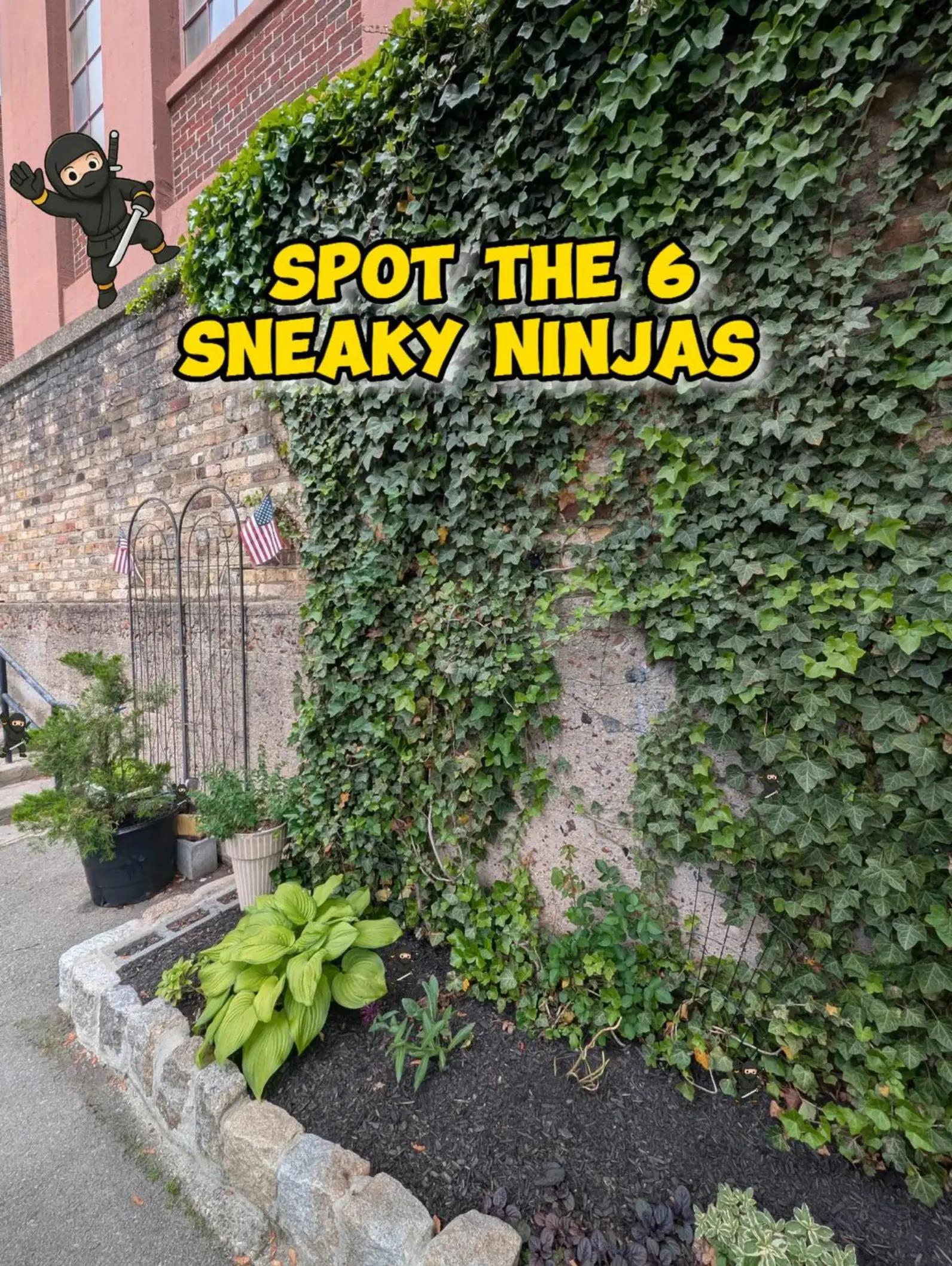 @SpotTheSneakyNinja
