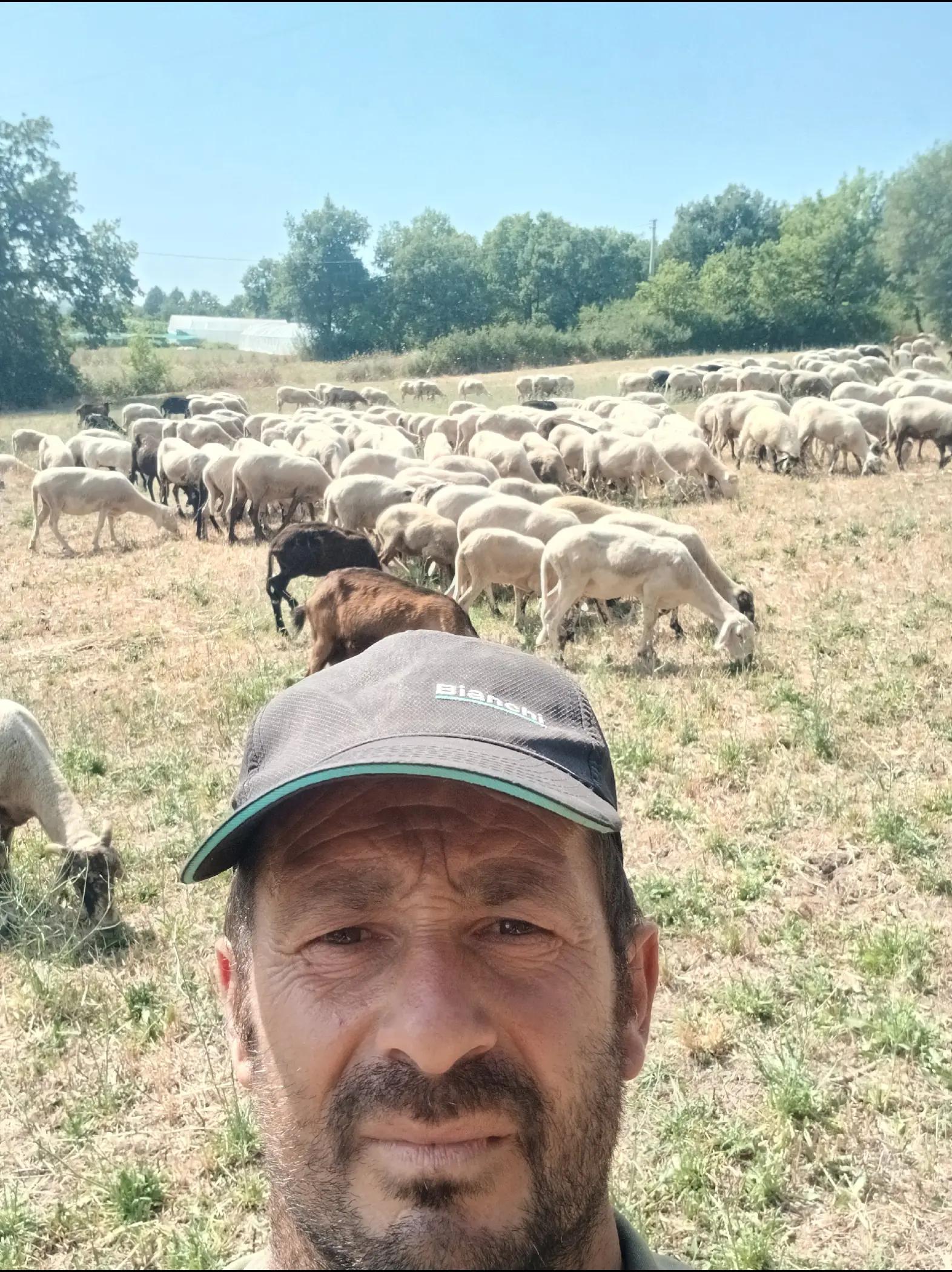 @Amato della vecchia