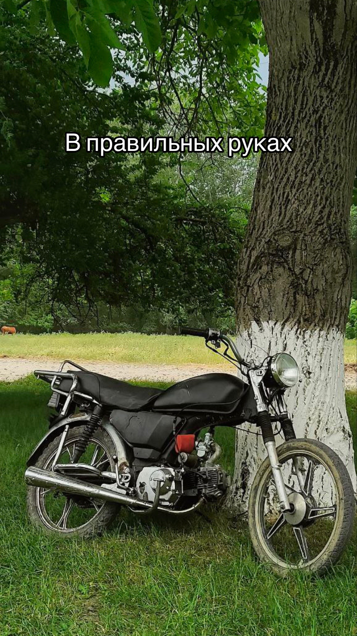 @Альфочка