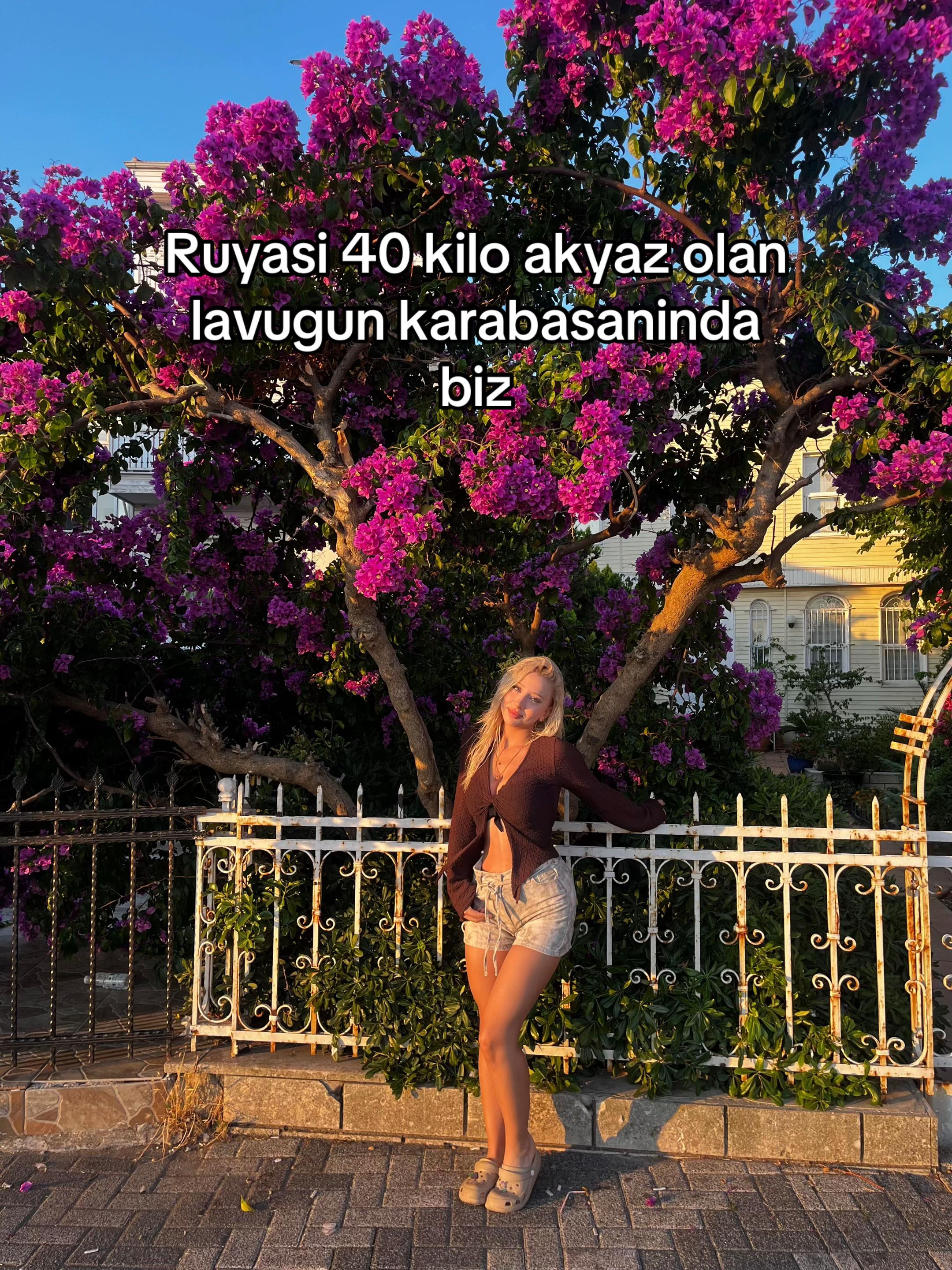 @ezel.xl