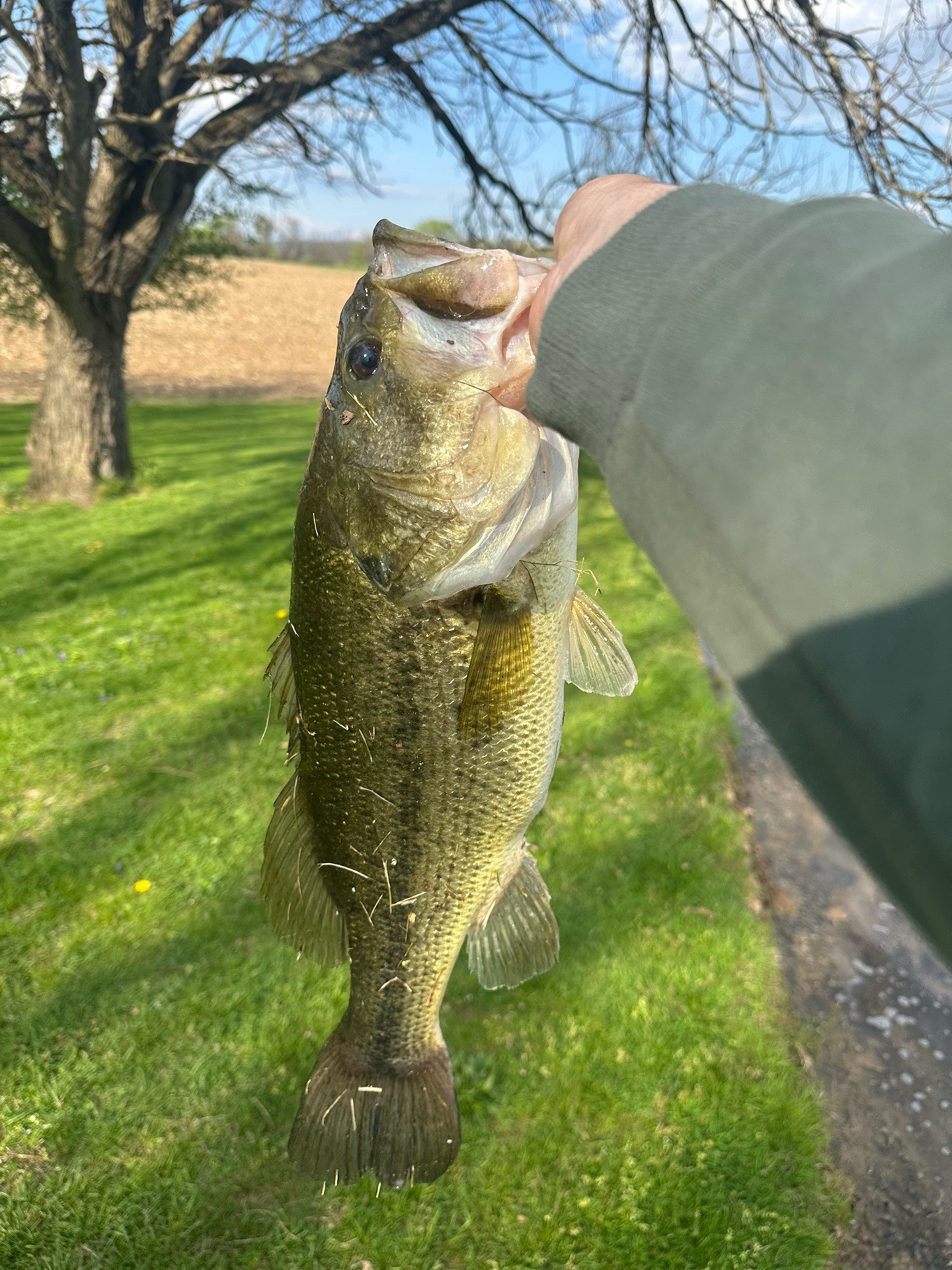 @tymagargleoutdoors