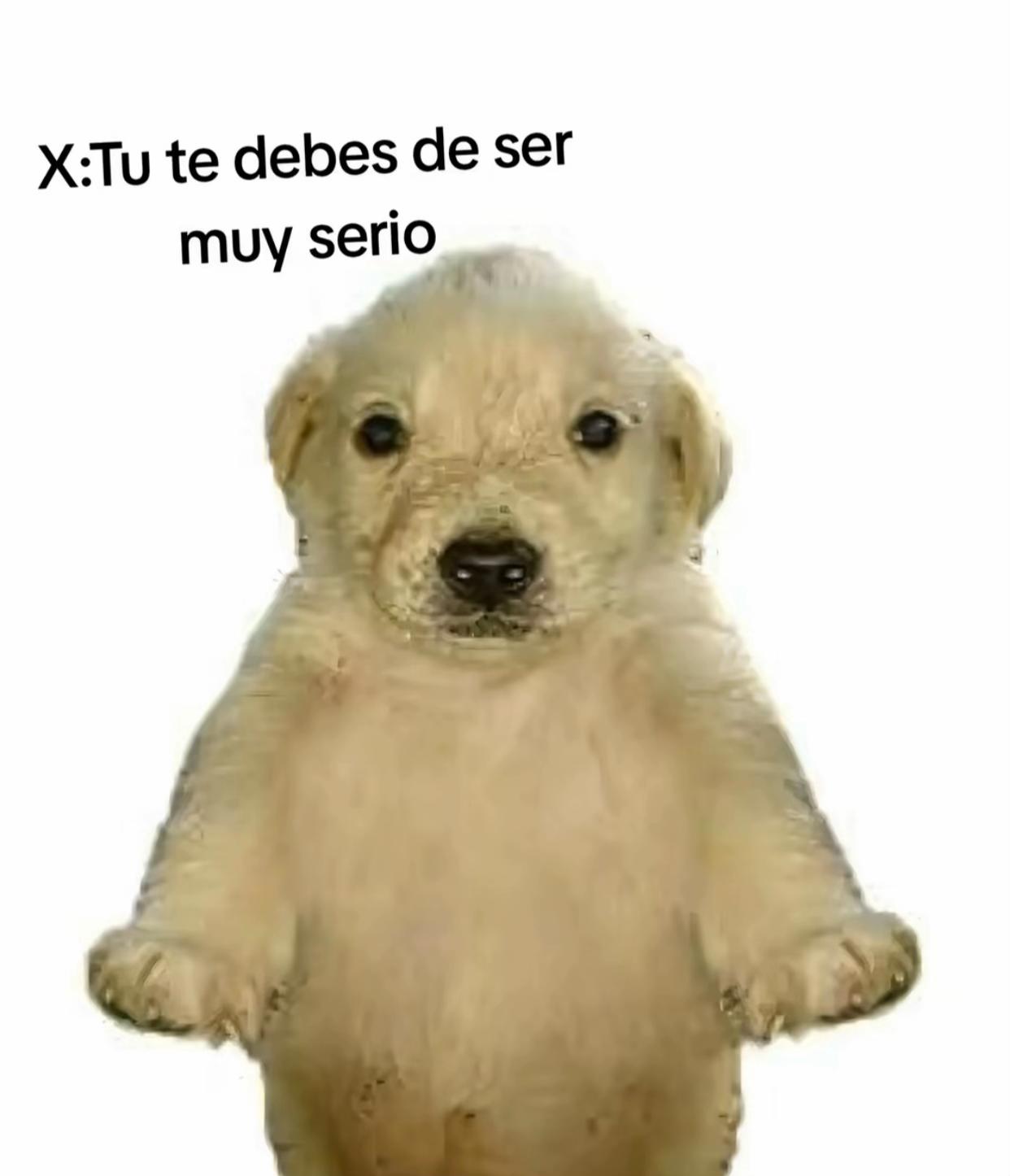 @RODRÍGUEZ🤦🏽