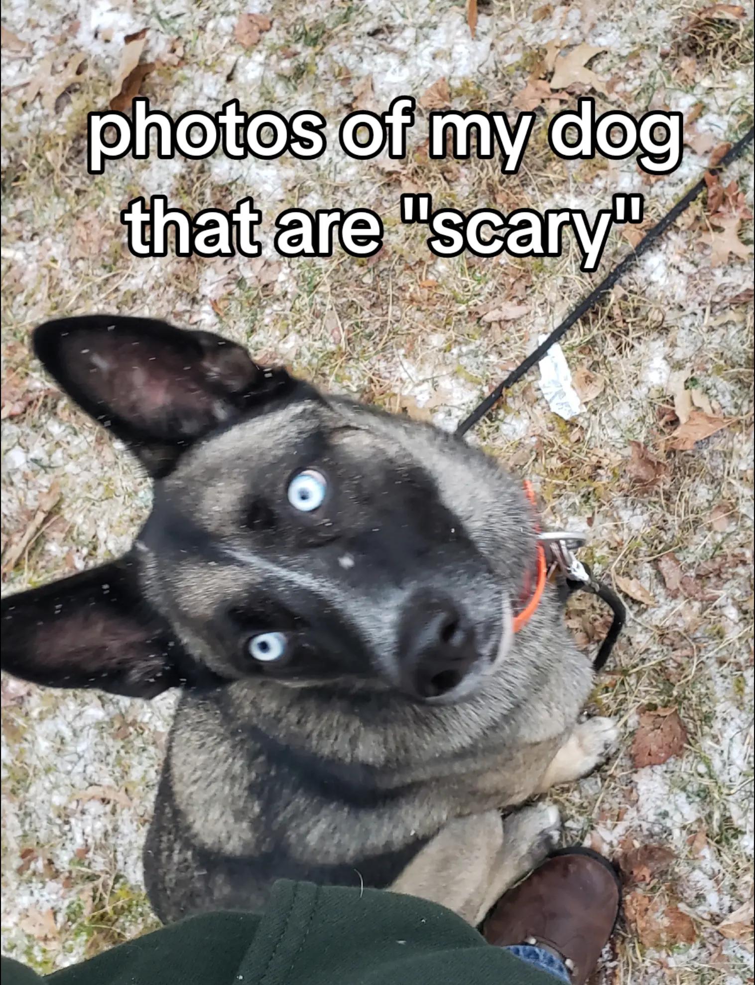 @🪓🐾🪓