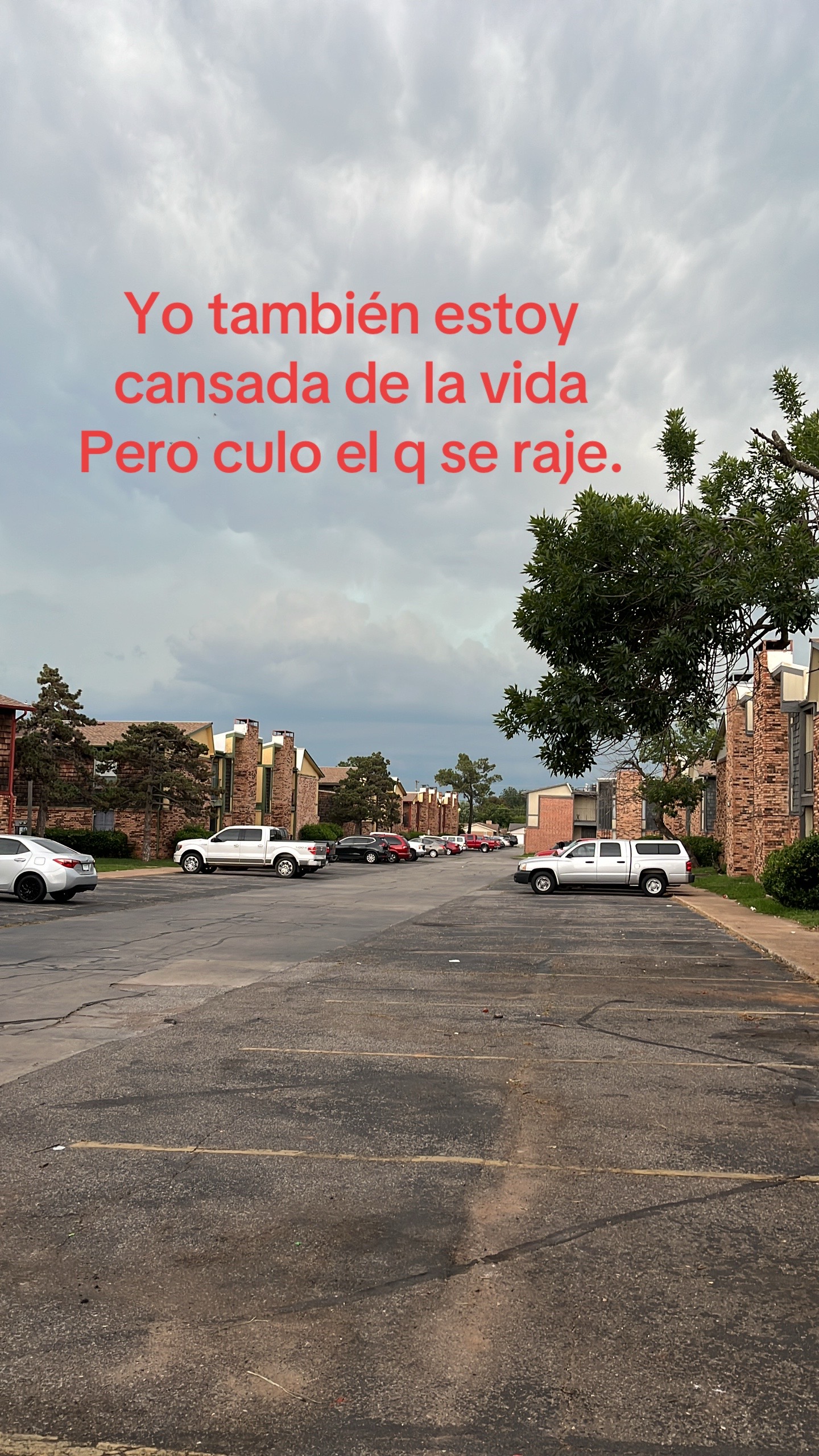 @Bibi