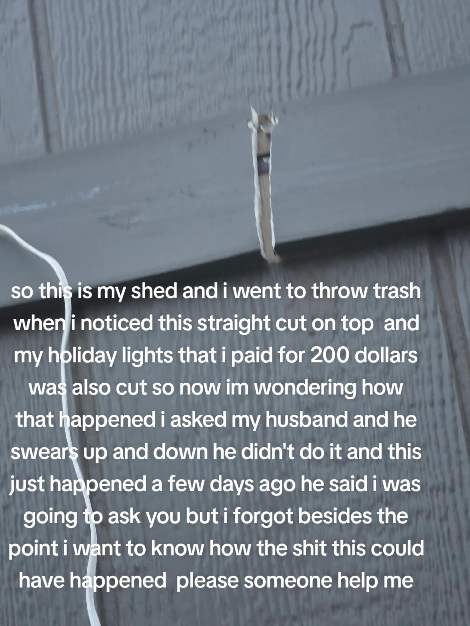 @Rose Ramirez