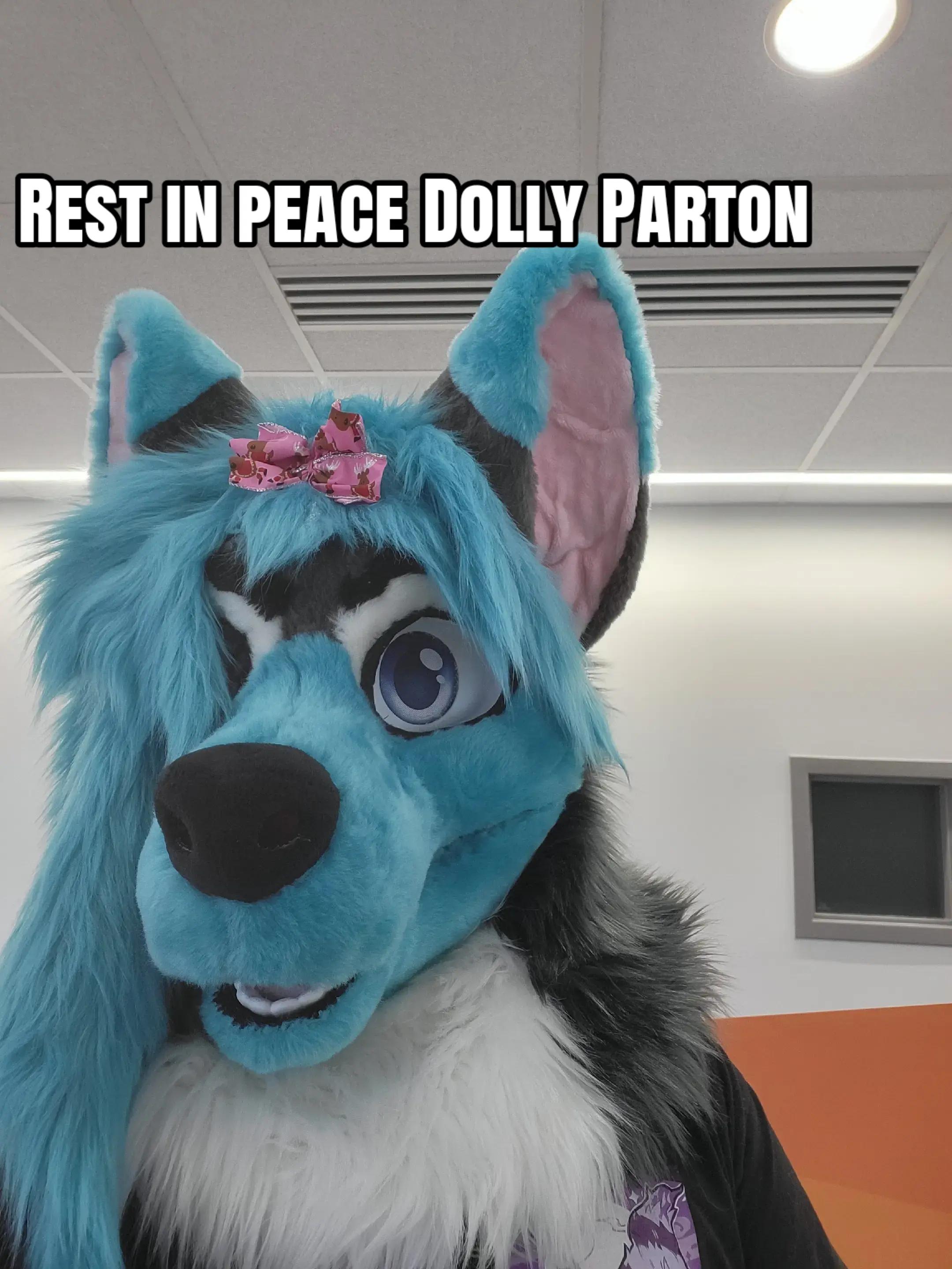 @Savi Wolf ๐ MFF