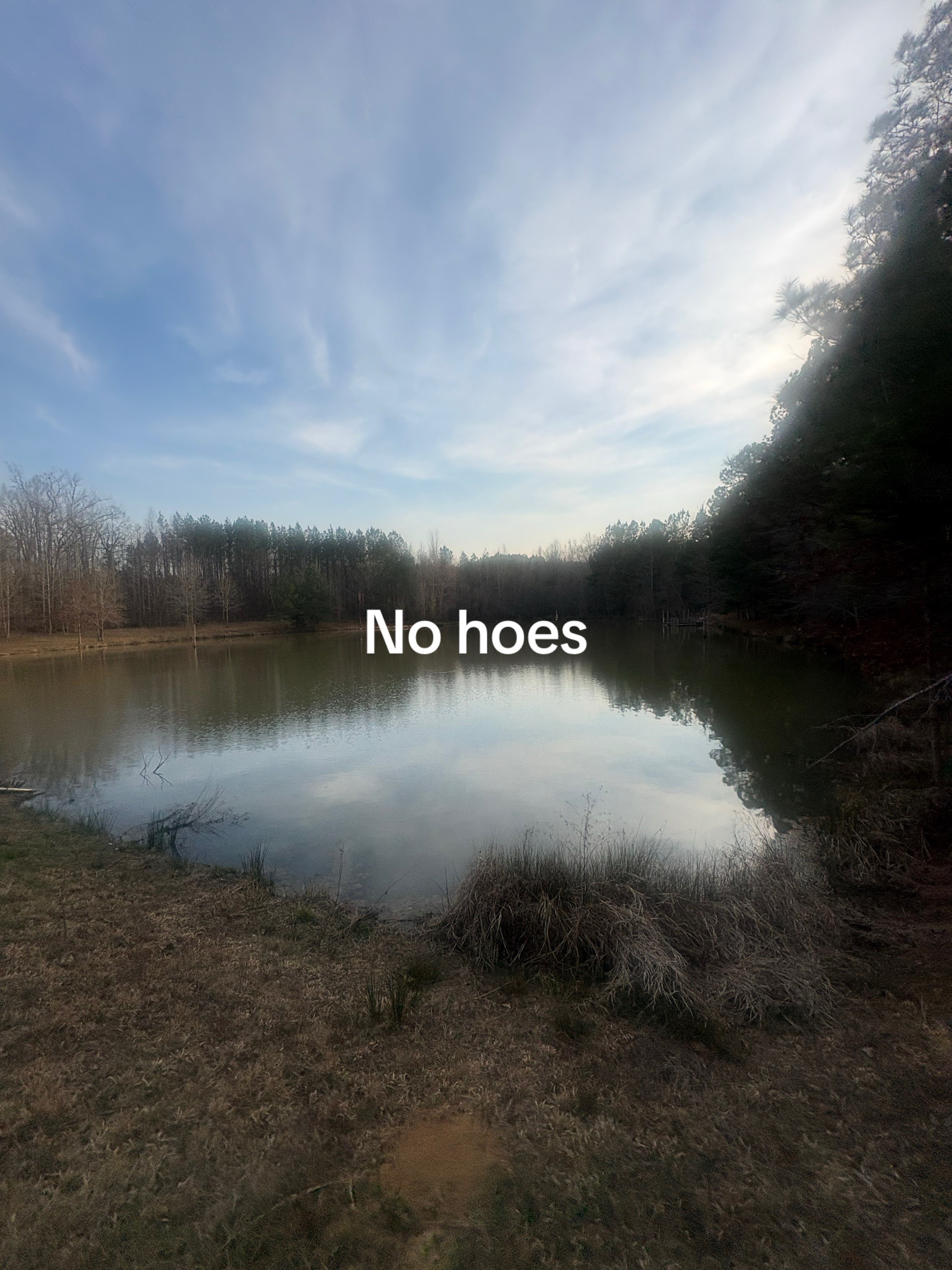 @Nic Breezy