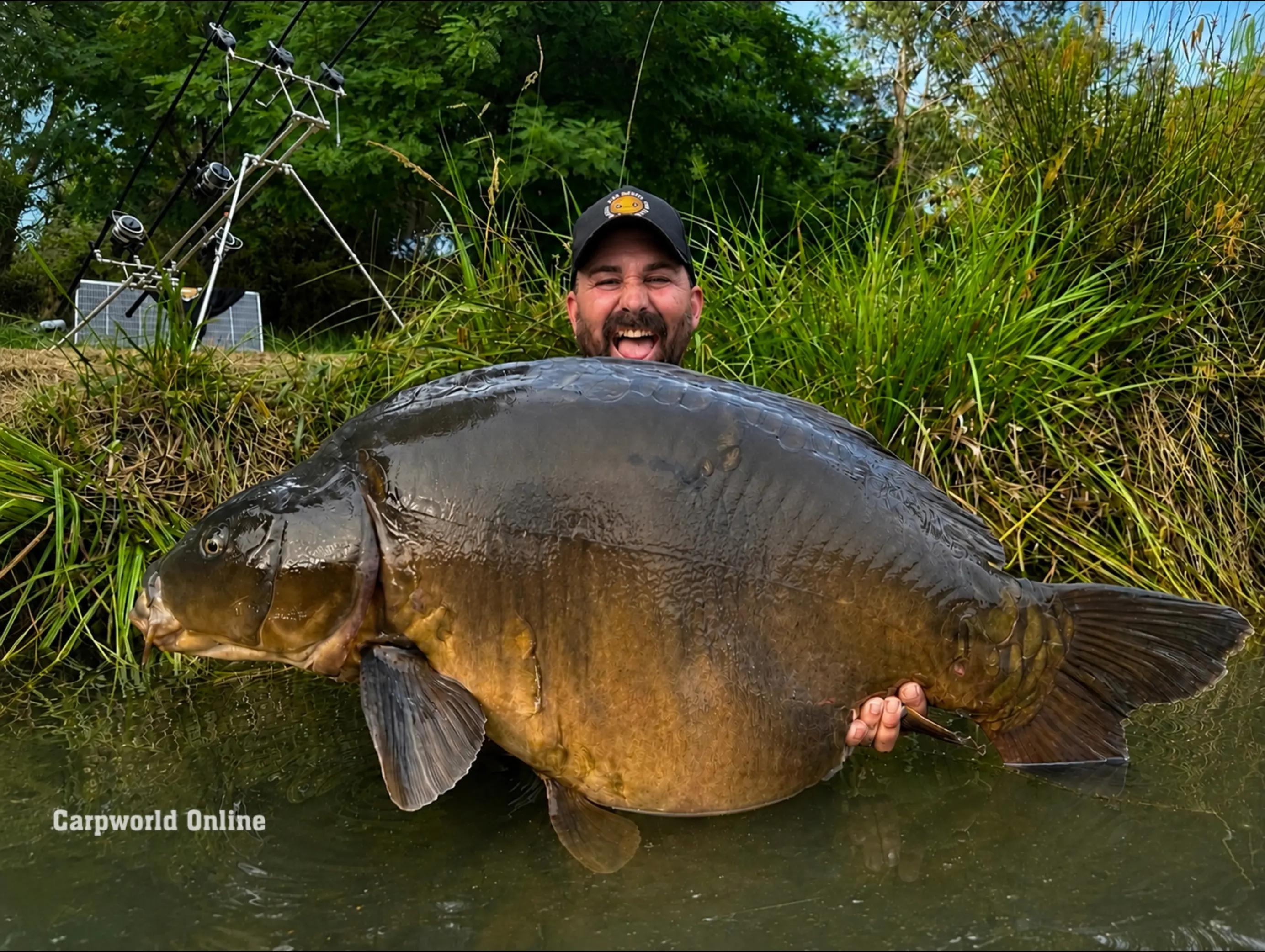 @carpworldonline