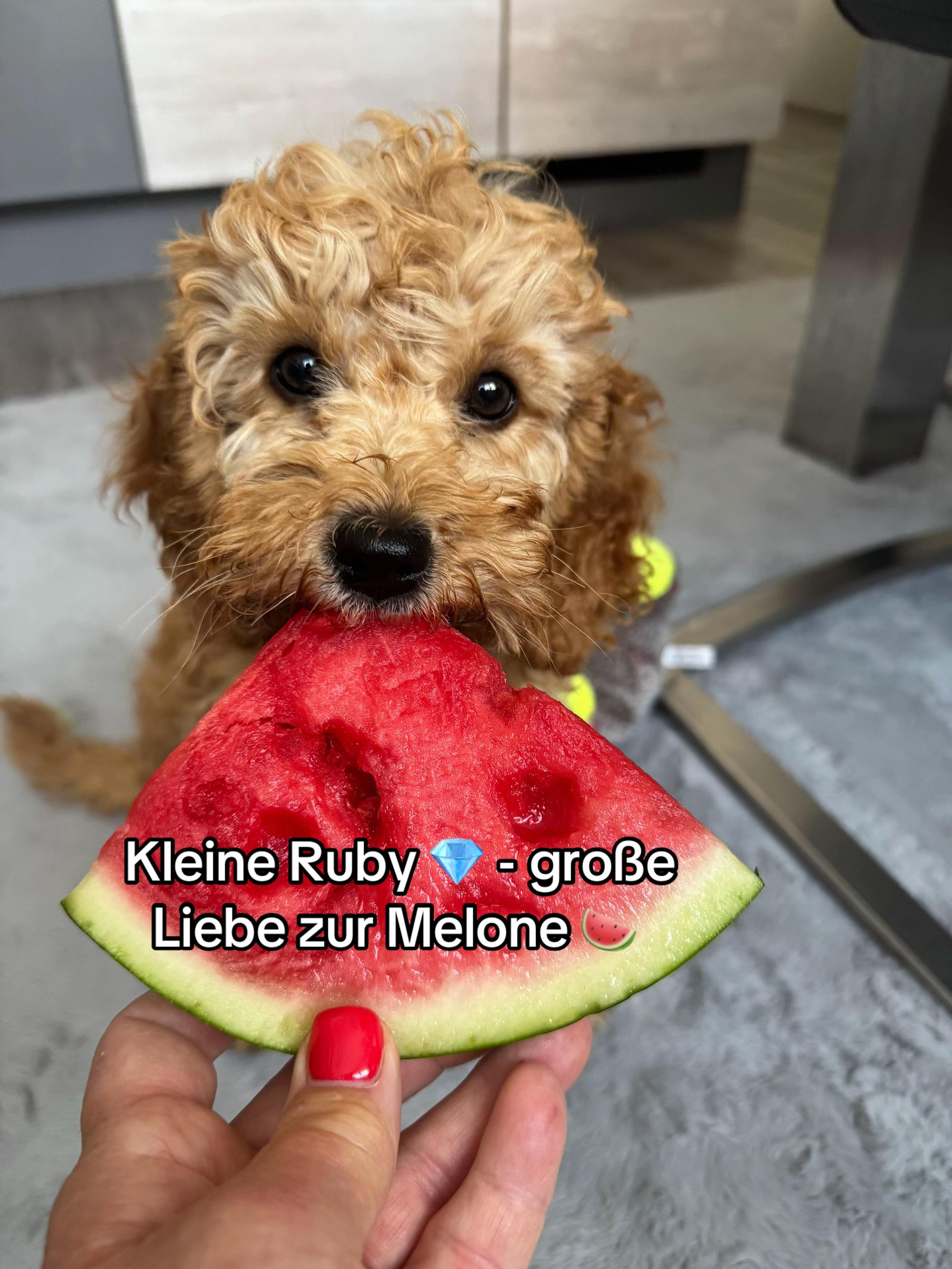 @Ruby