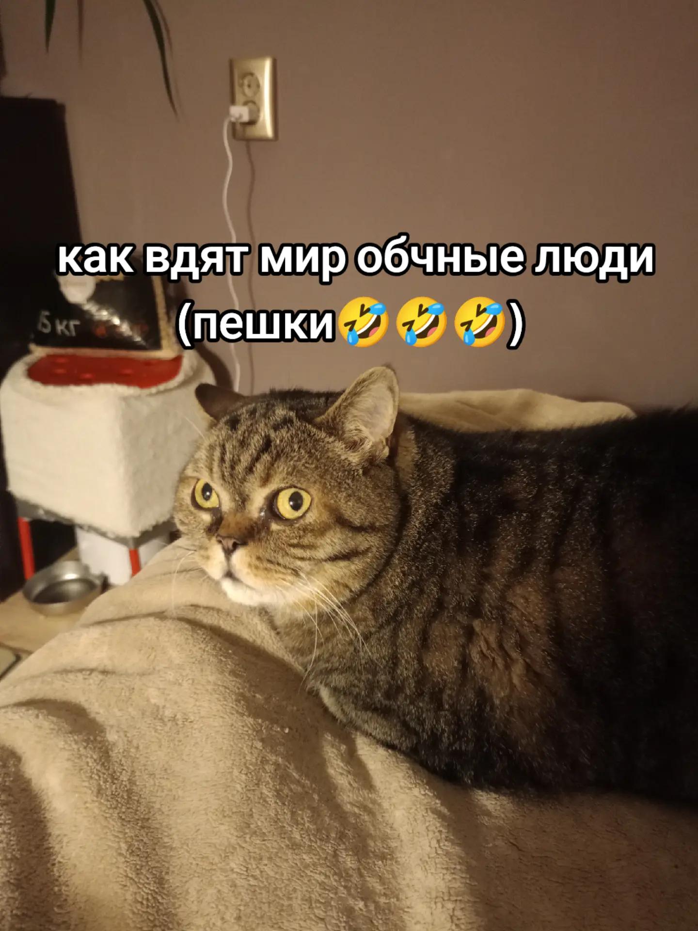 @на аве моя девушка мечты
