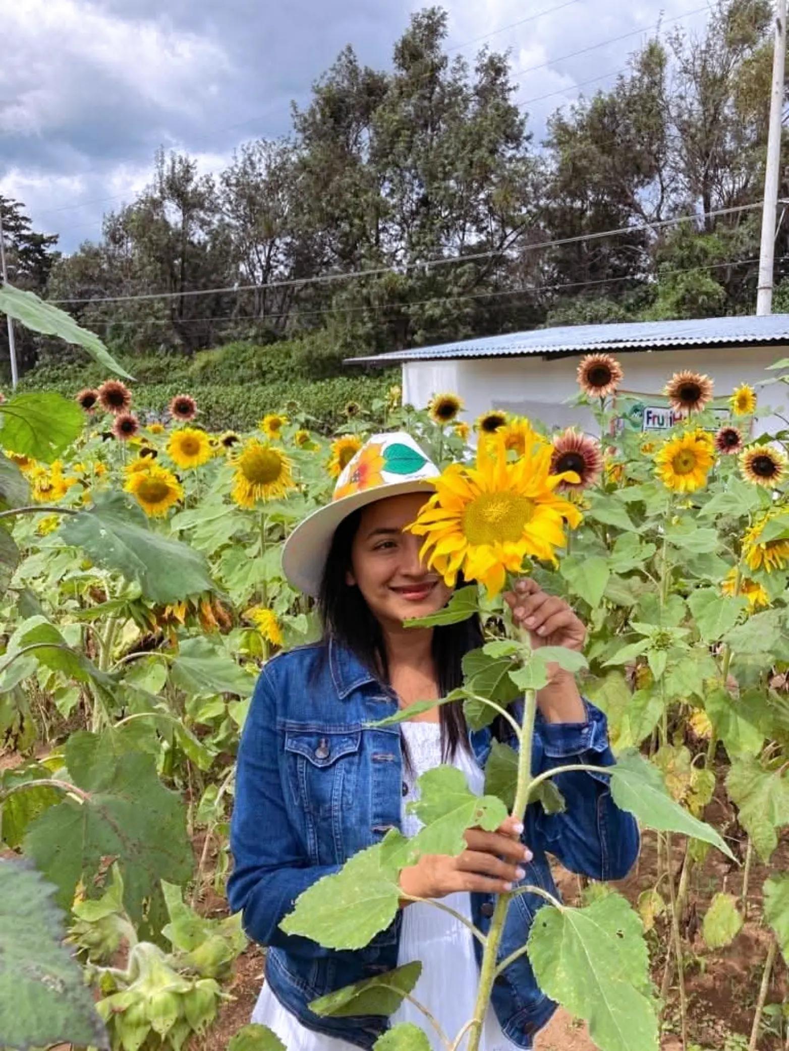 @🌺🐛🦋