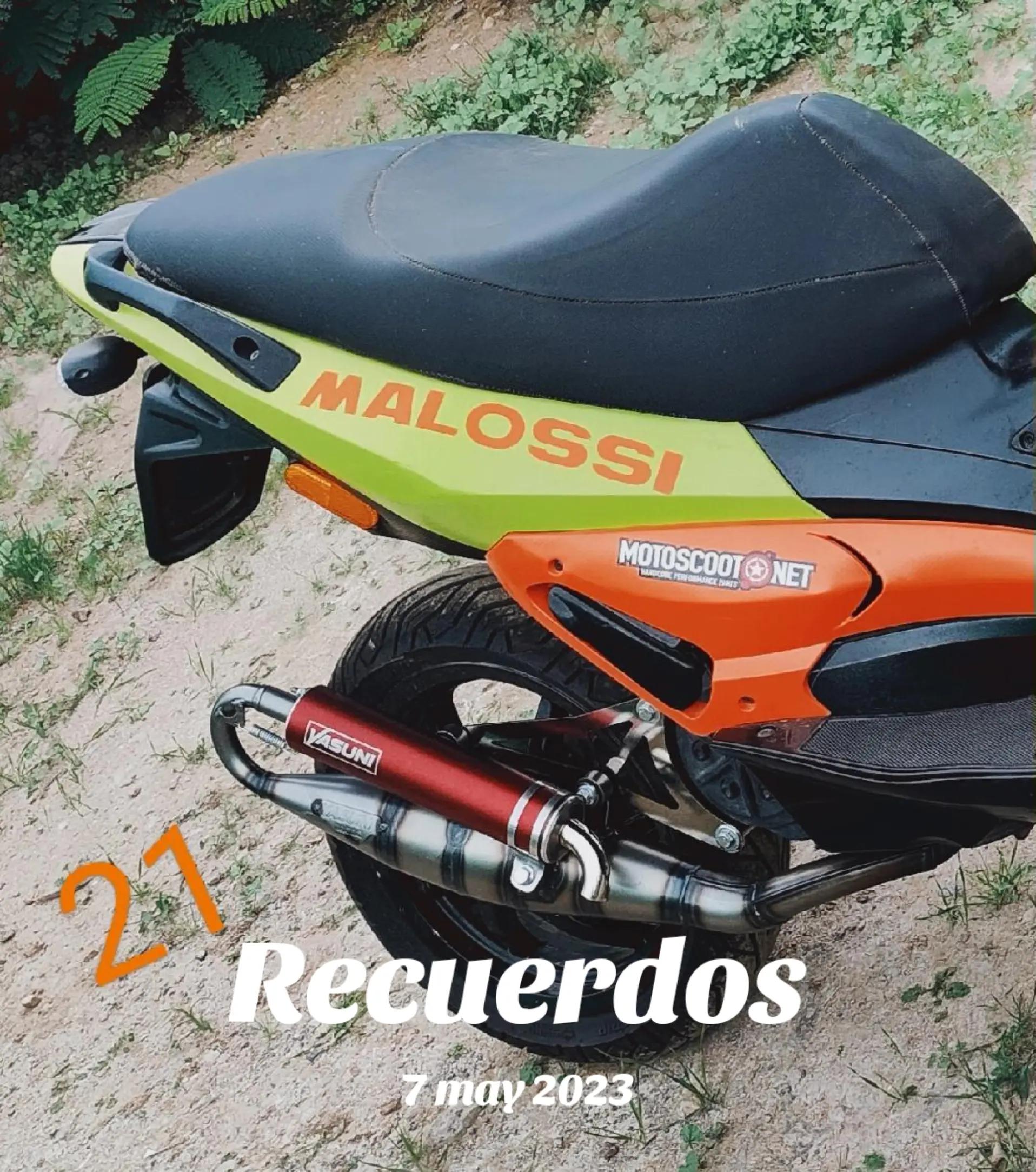 @sanguinosport21