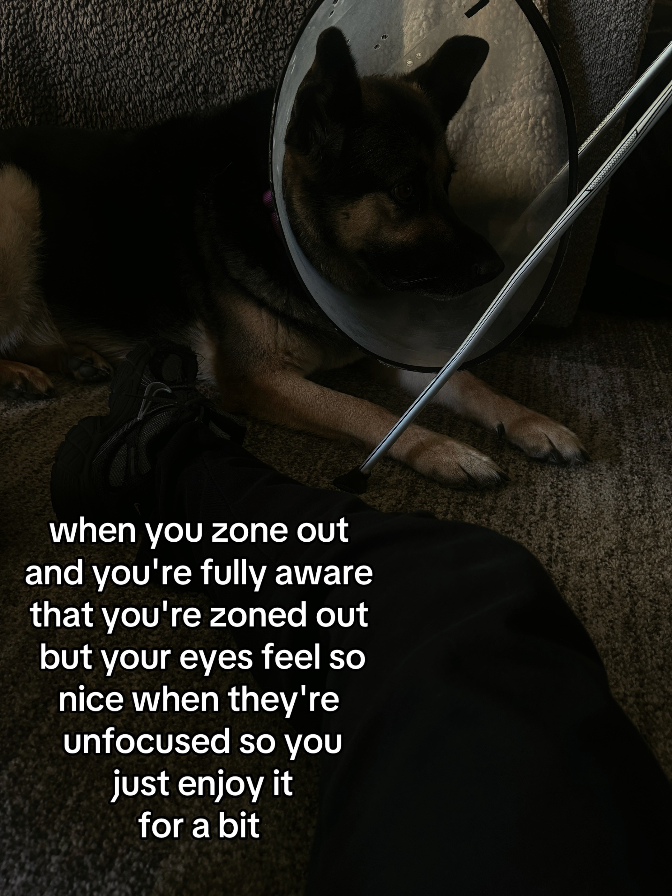 @𝓐𝓬𝓮♤