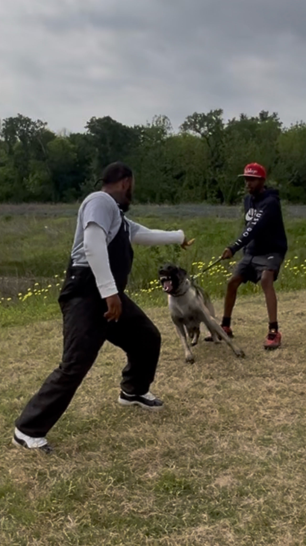 @HardBody K9 Training