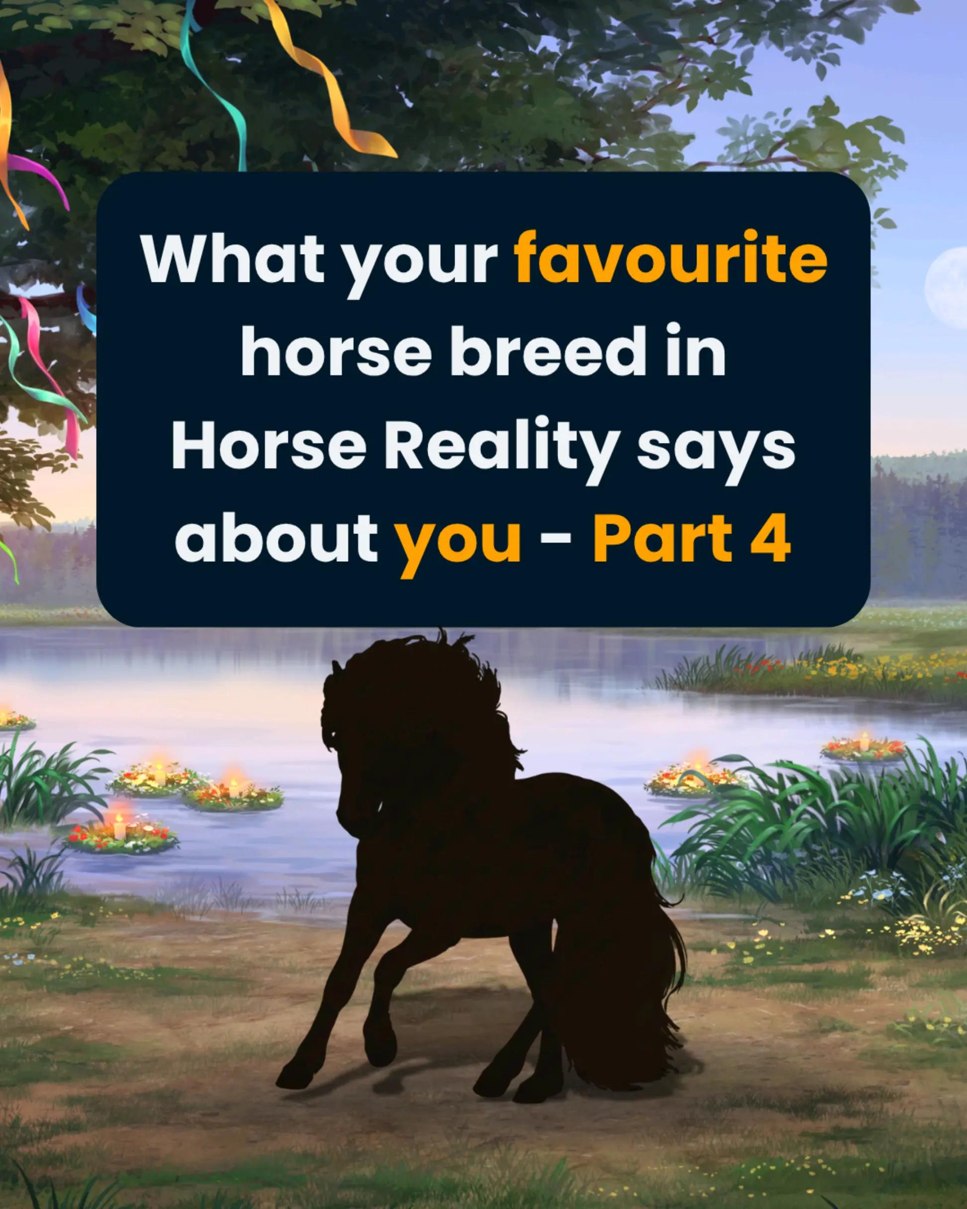@Horse Reality