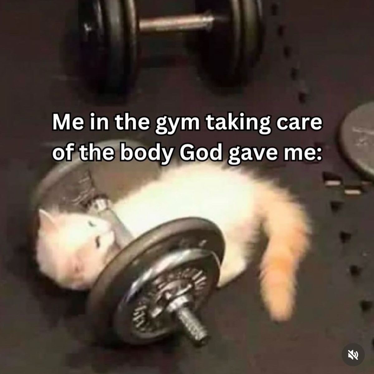 @jailynn