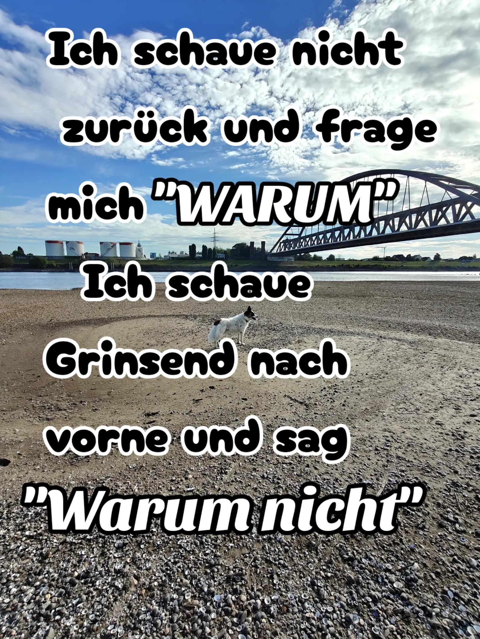 @Martina