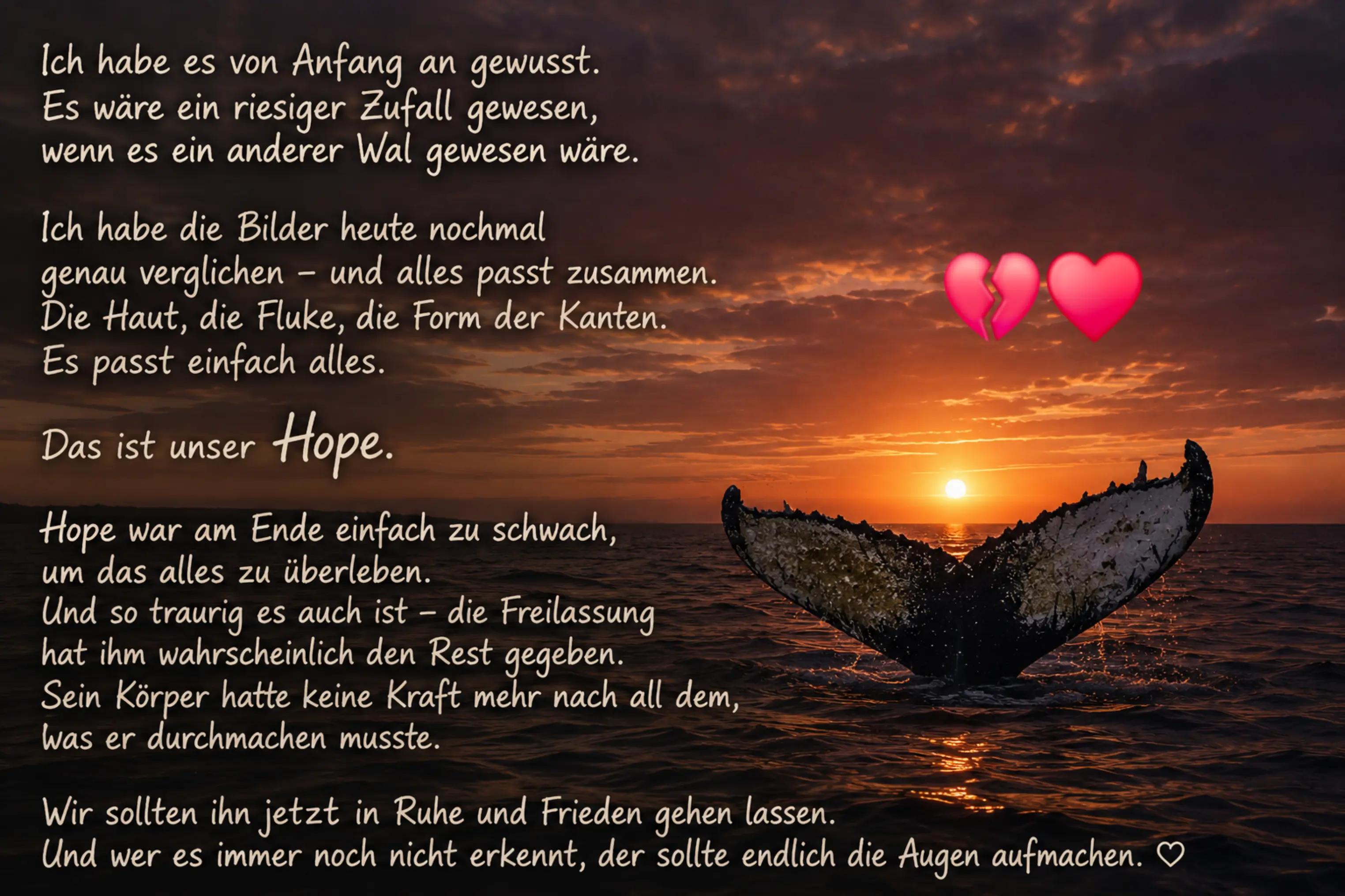 @🐳📚❤️DreamySusu❤️📚🐳