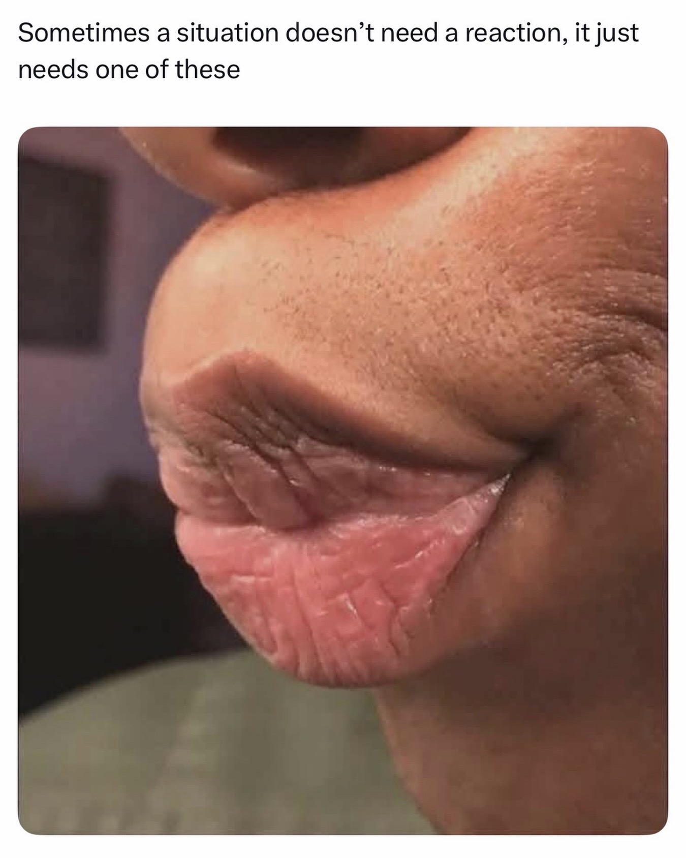 @females