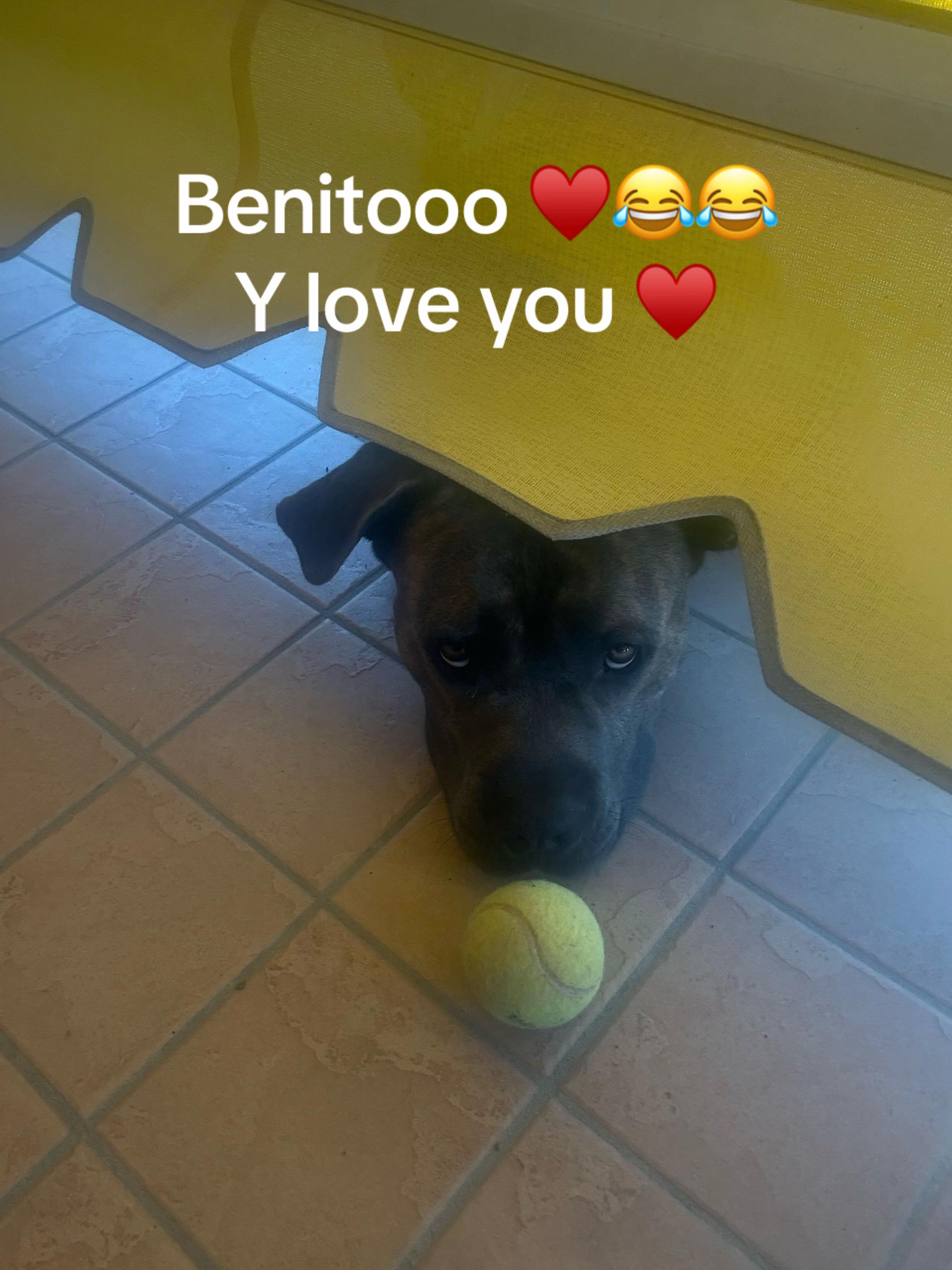 @Manumanufrau66