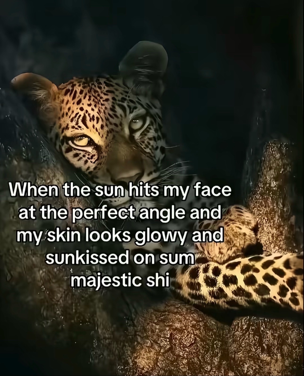 @Sienna Brielle