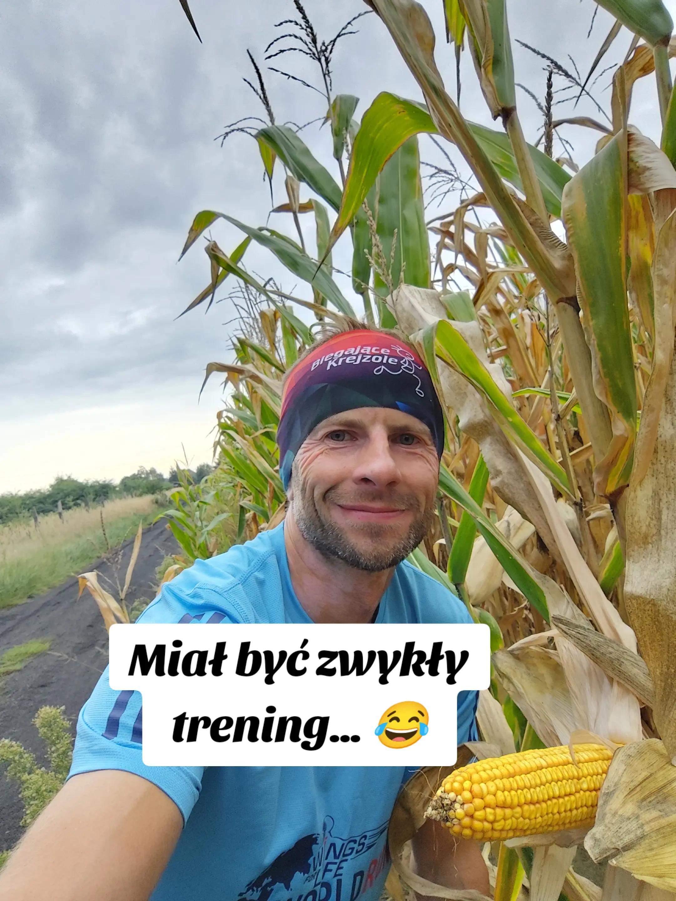 @Marcin-Biega
