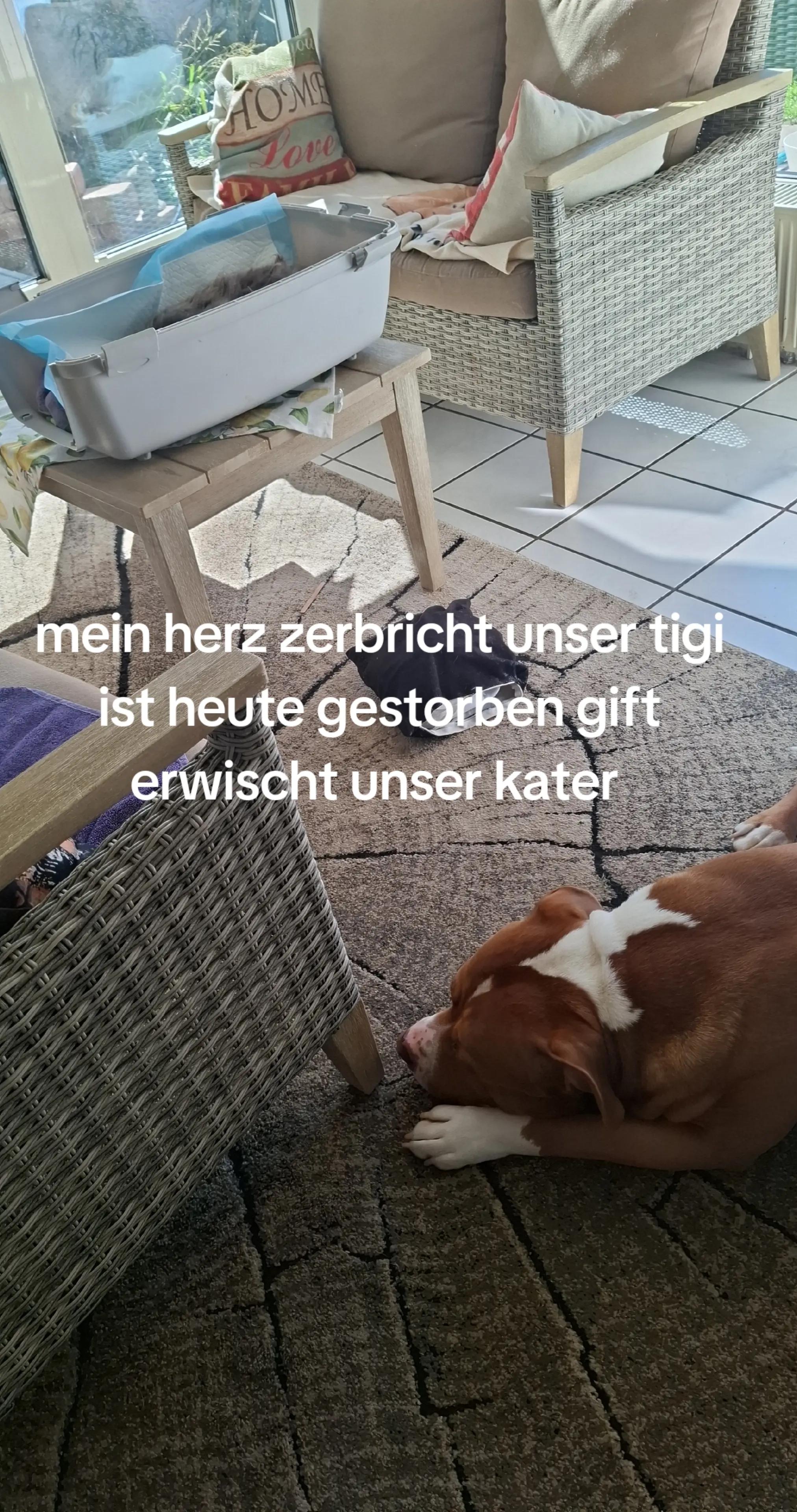 @Sonja mit dem bully