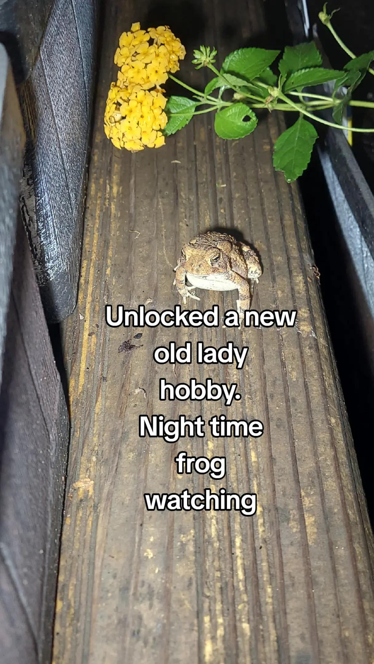@rustyhippy