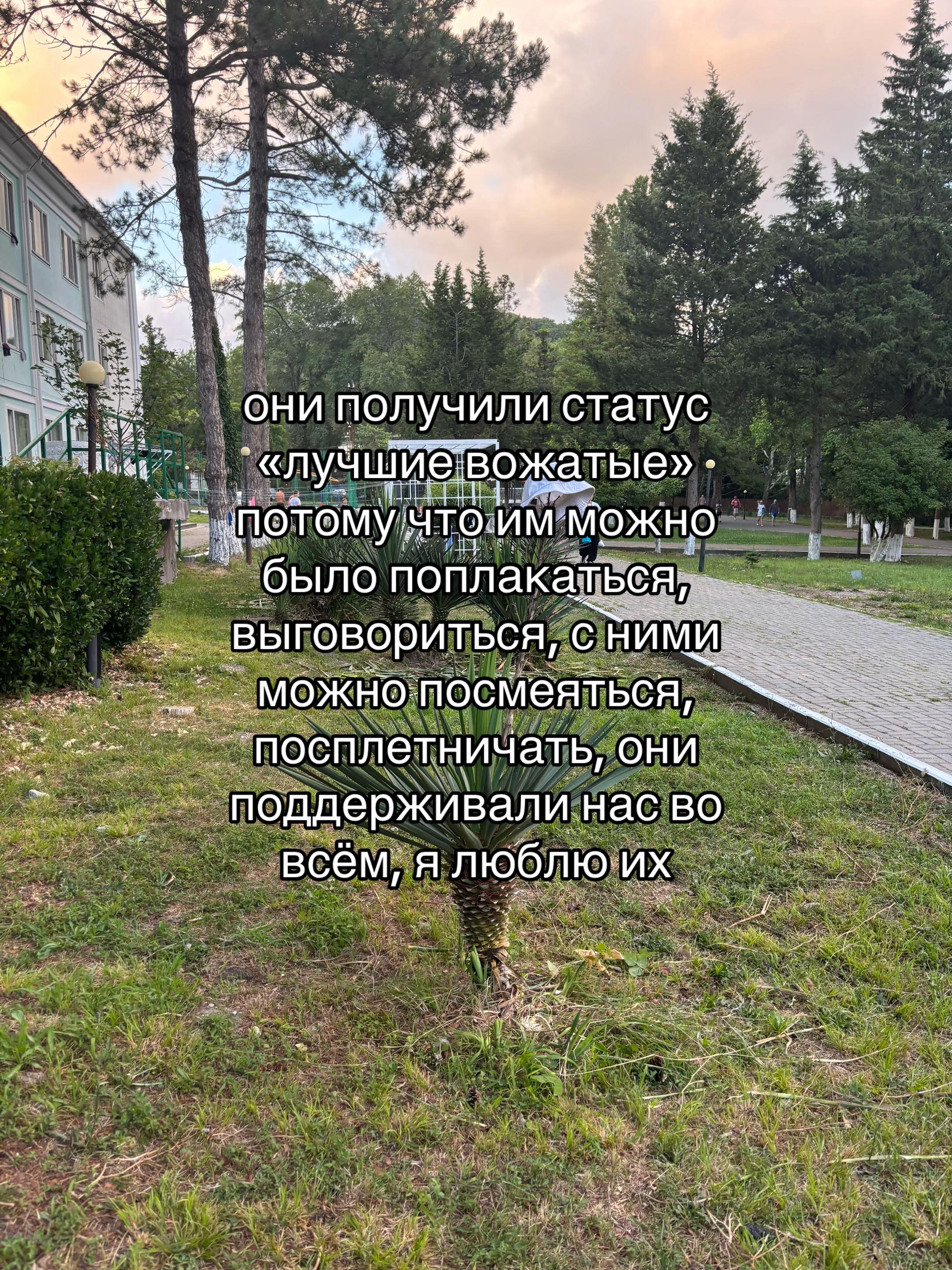 @Сумрачная