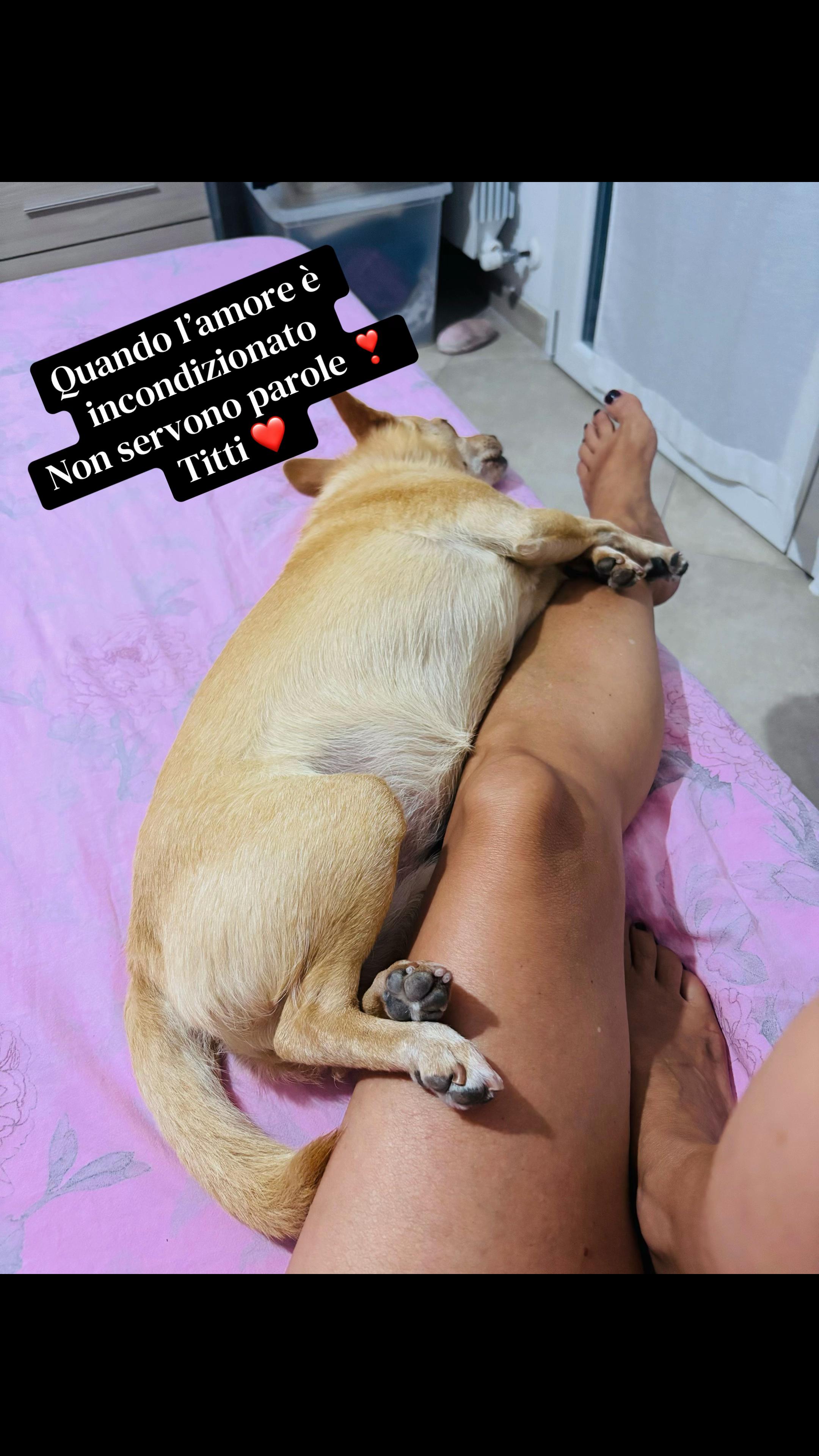 @Rachele Tiengo