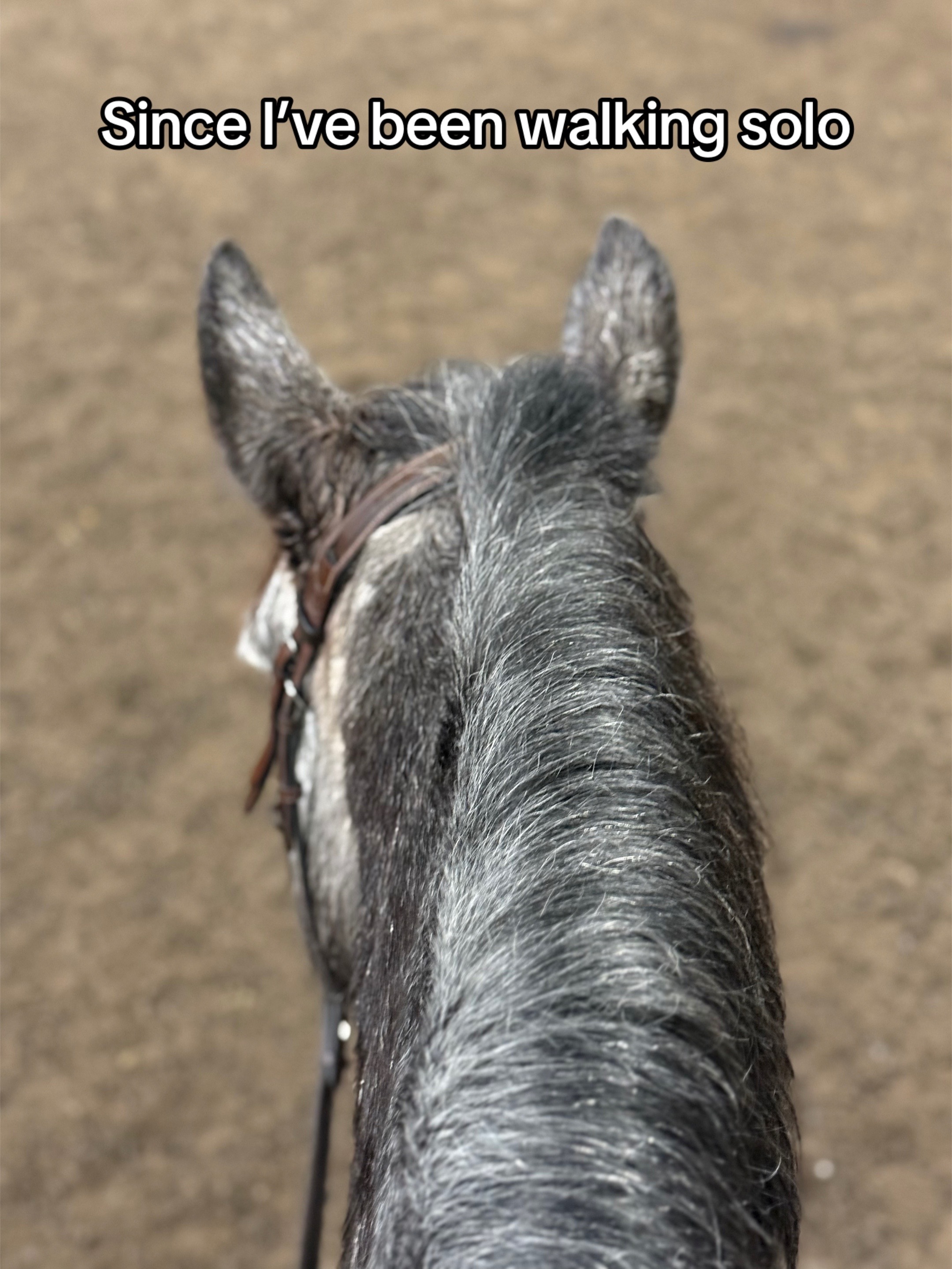 @Bianca_eq
