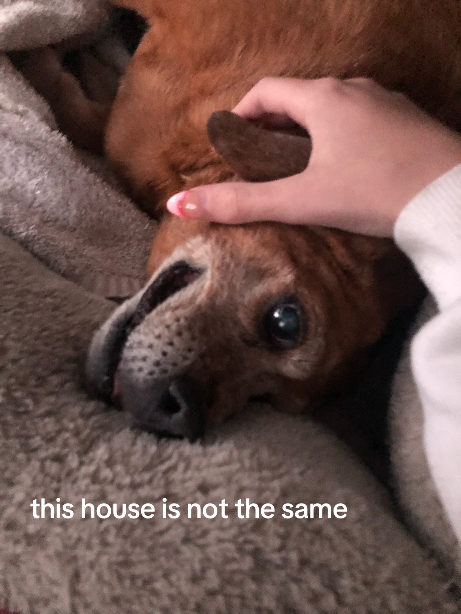 @୨୧ 𝒦𝒶𝑒 !