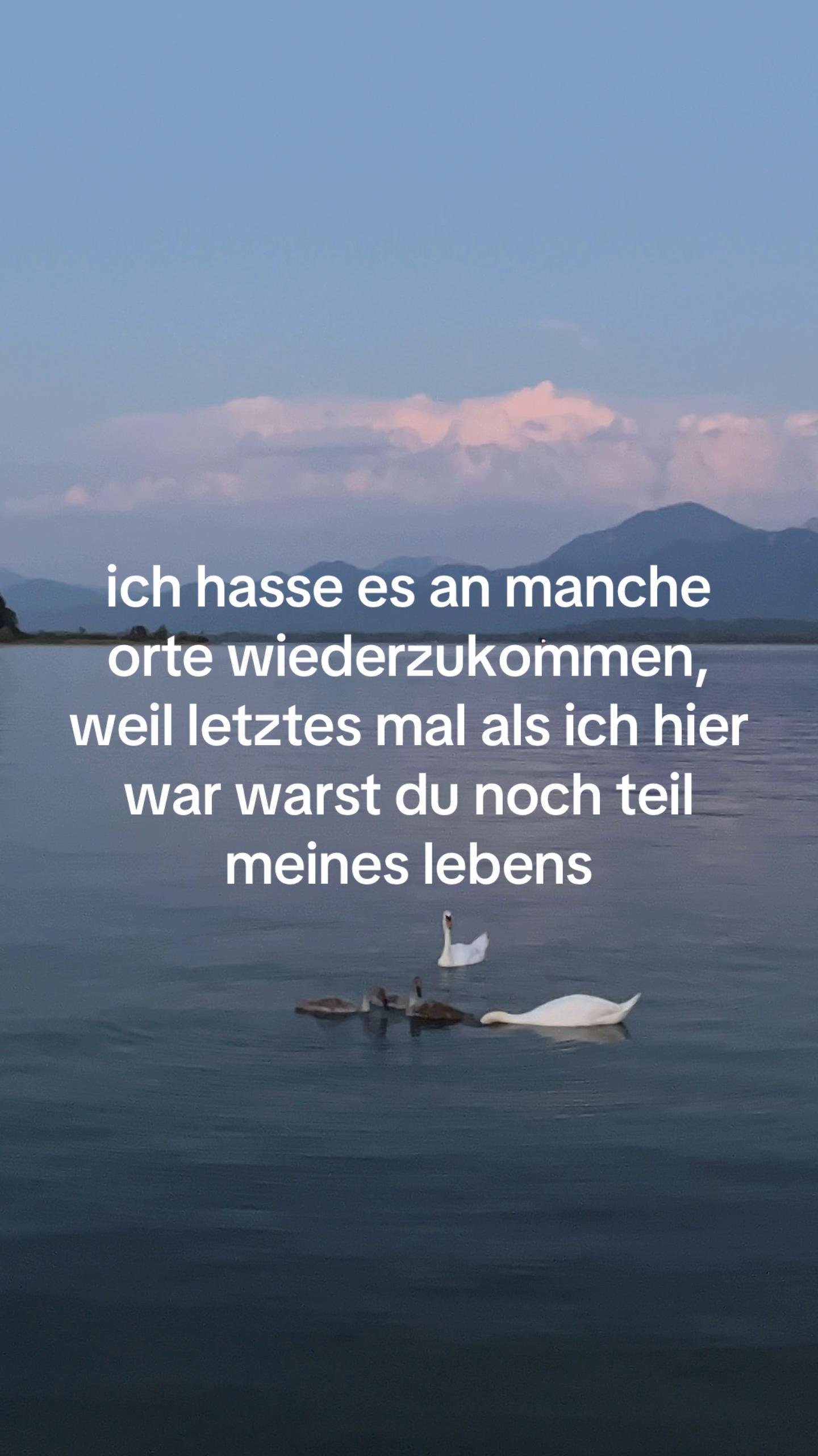@lisiohneoverthinken