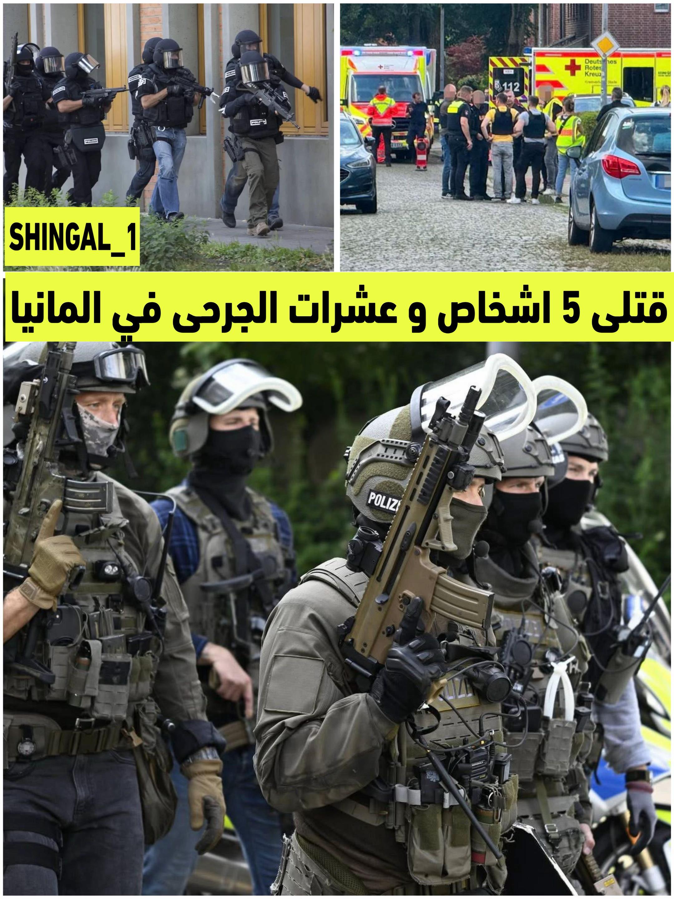@shingal_1