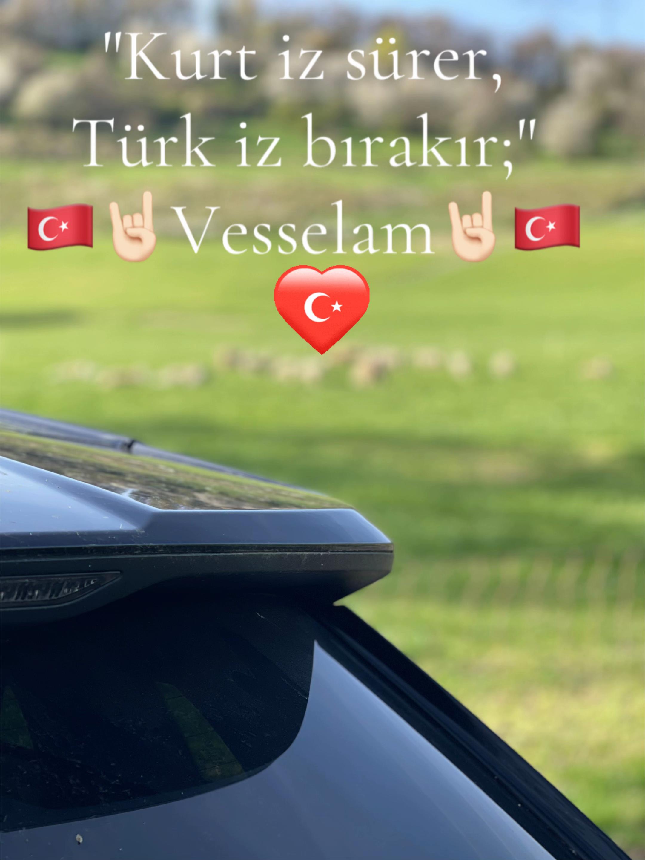 @dilavereryilmaz