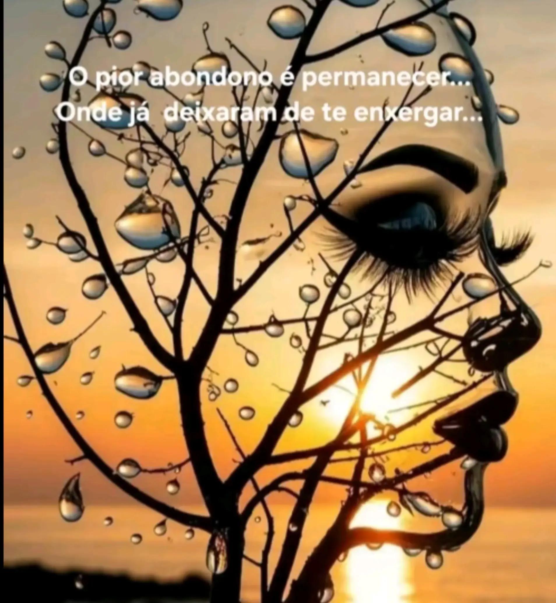 @luz Barreto