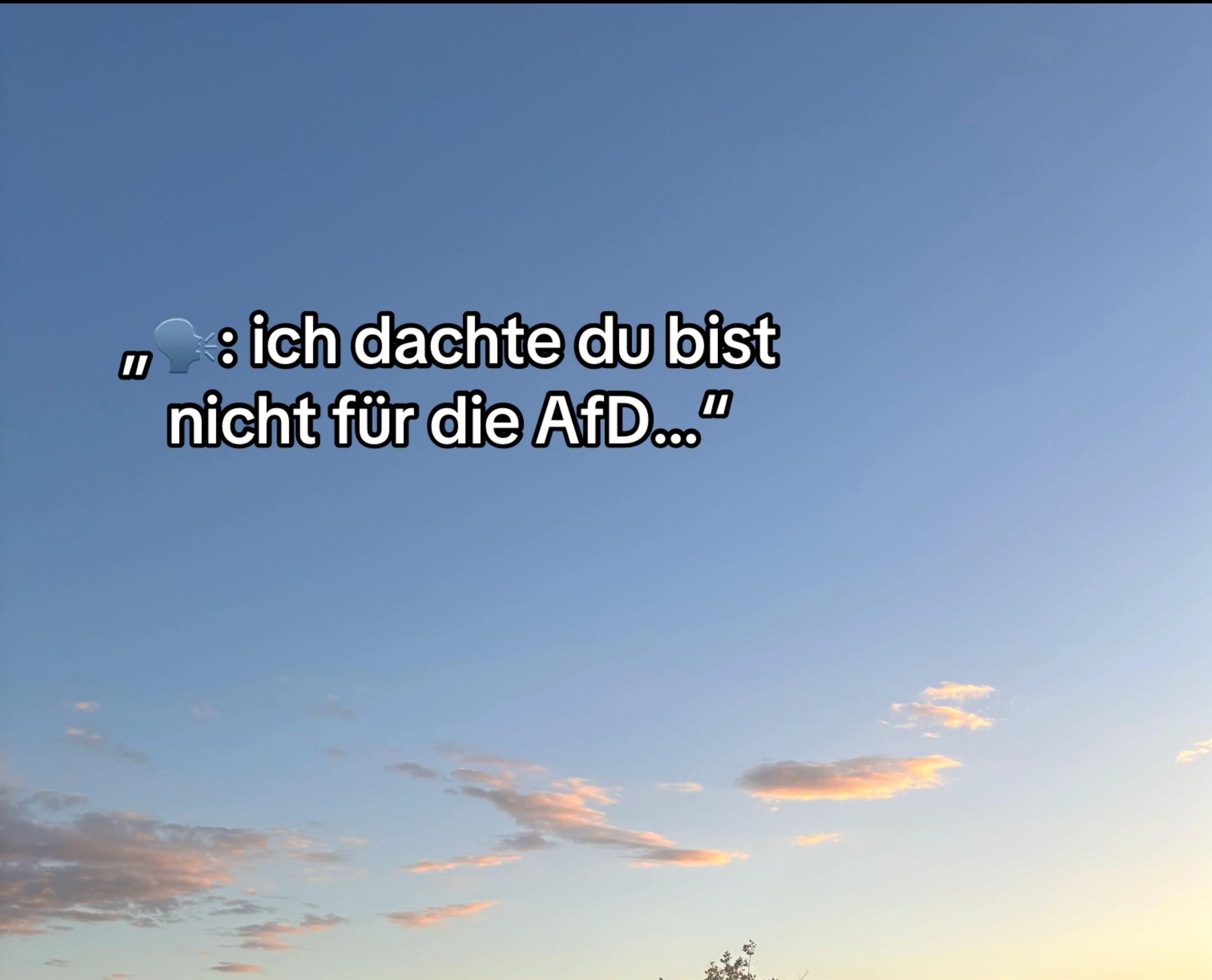 @Alice_Fan