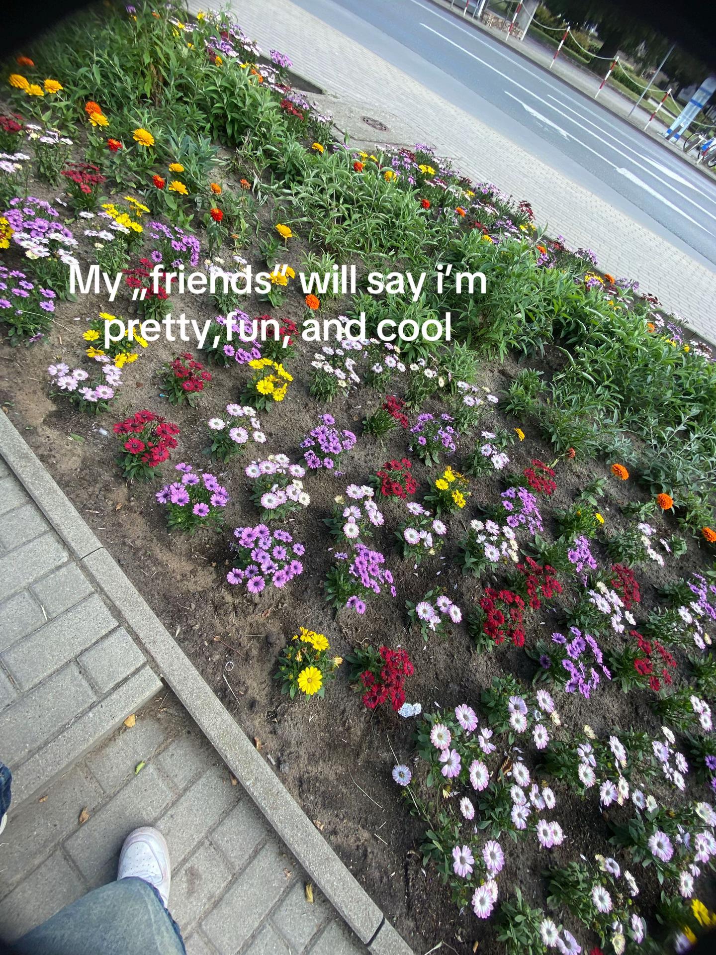 @𓆩༺✧༻𓆪
