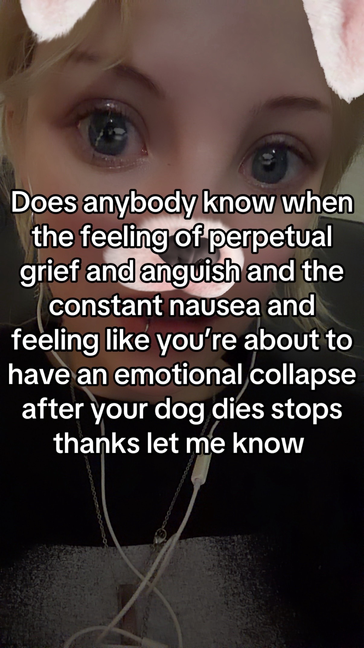 @ashy bear