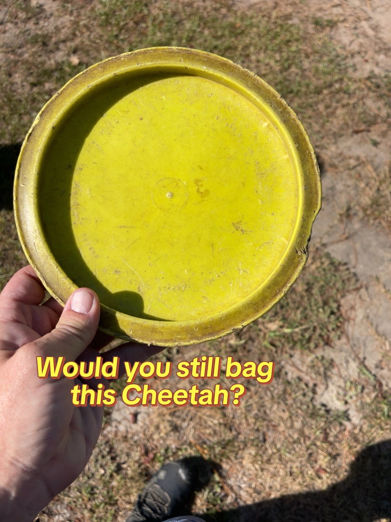 @Not The Worst Disc Golf