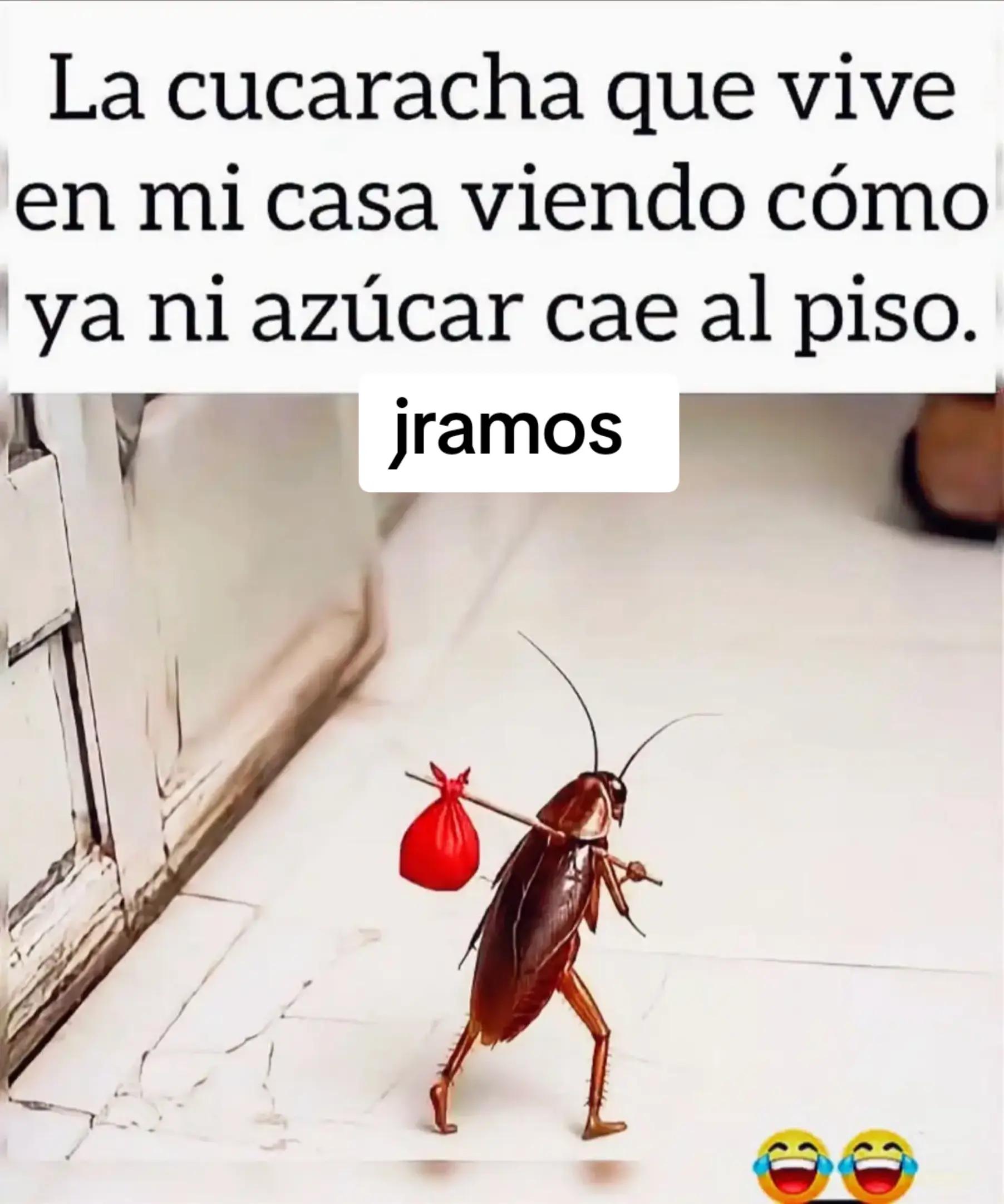 @jramos988tijuana
