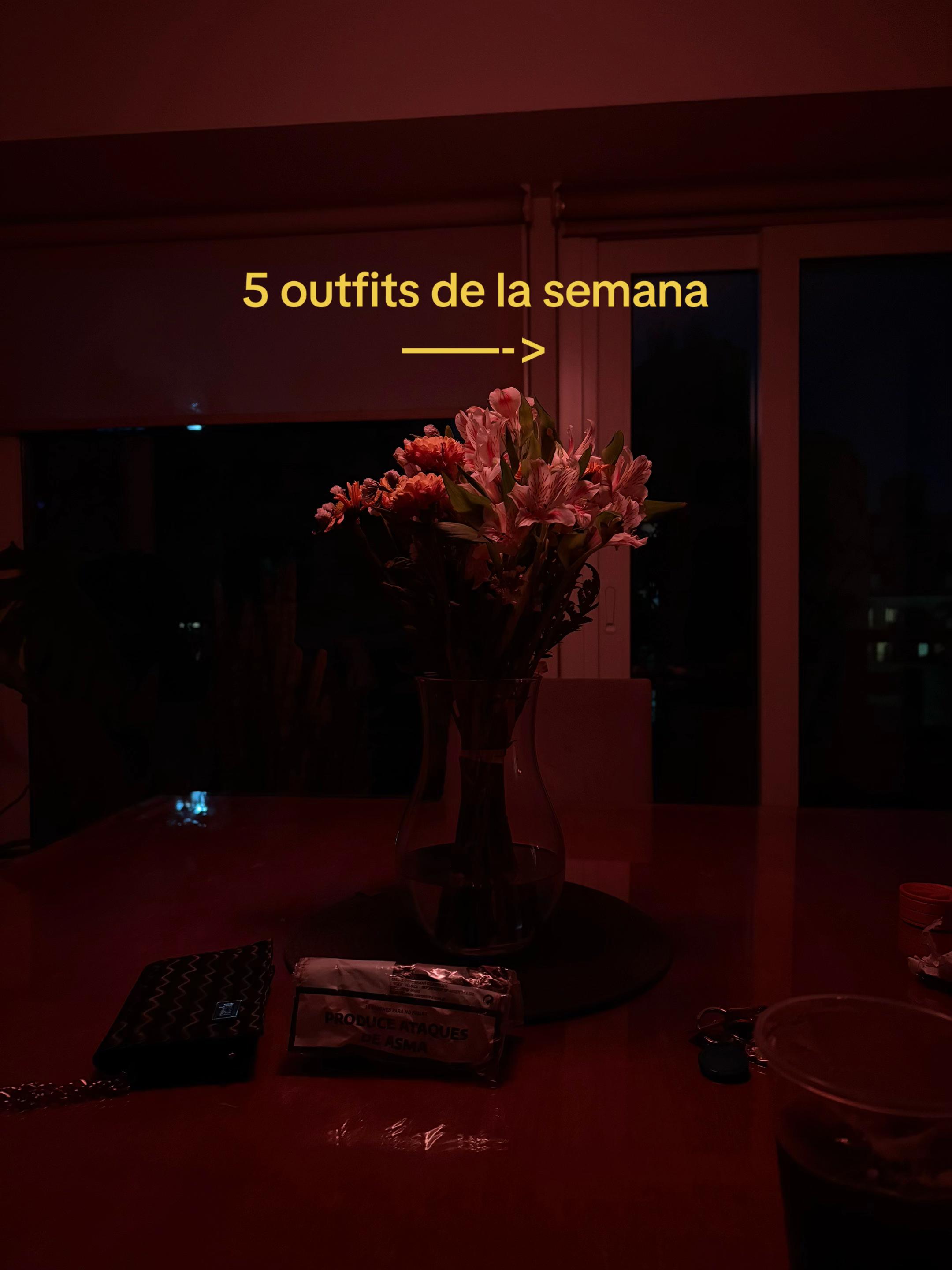 @federikaok