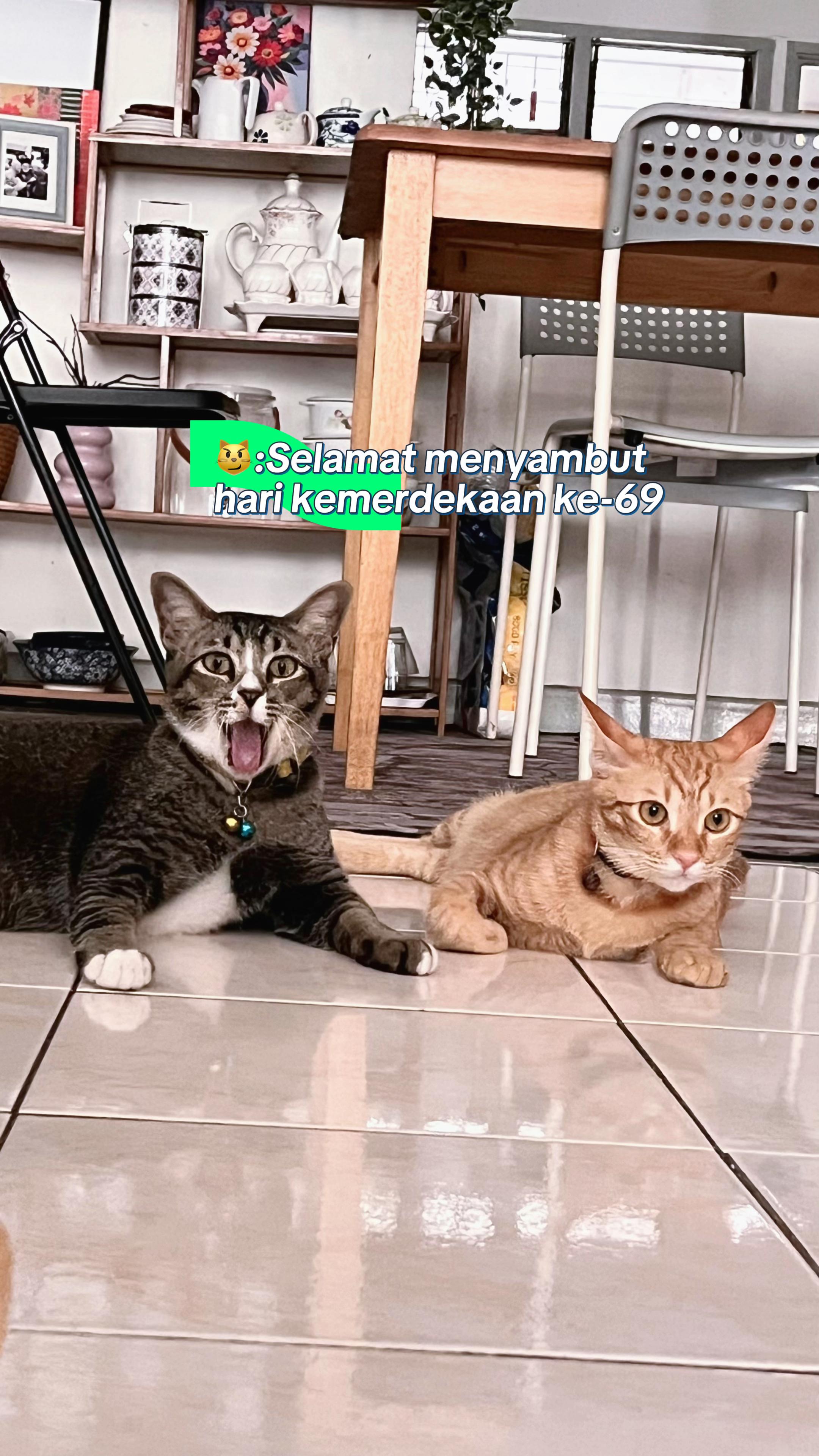 @JANGAN Teng🅾️k