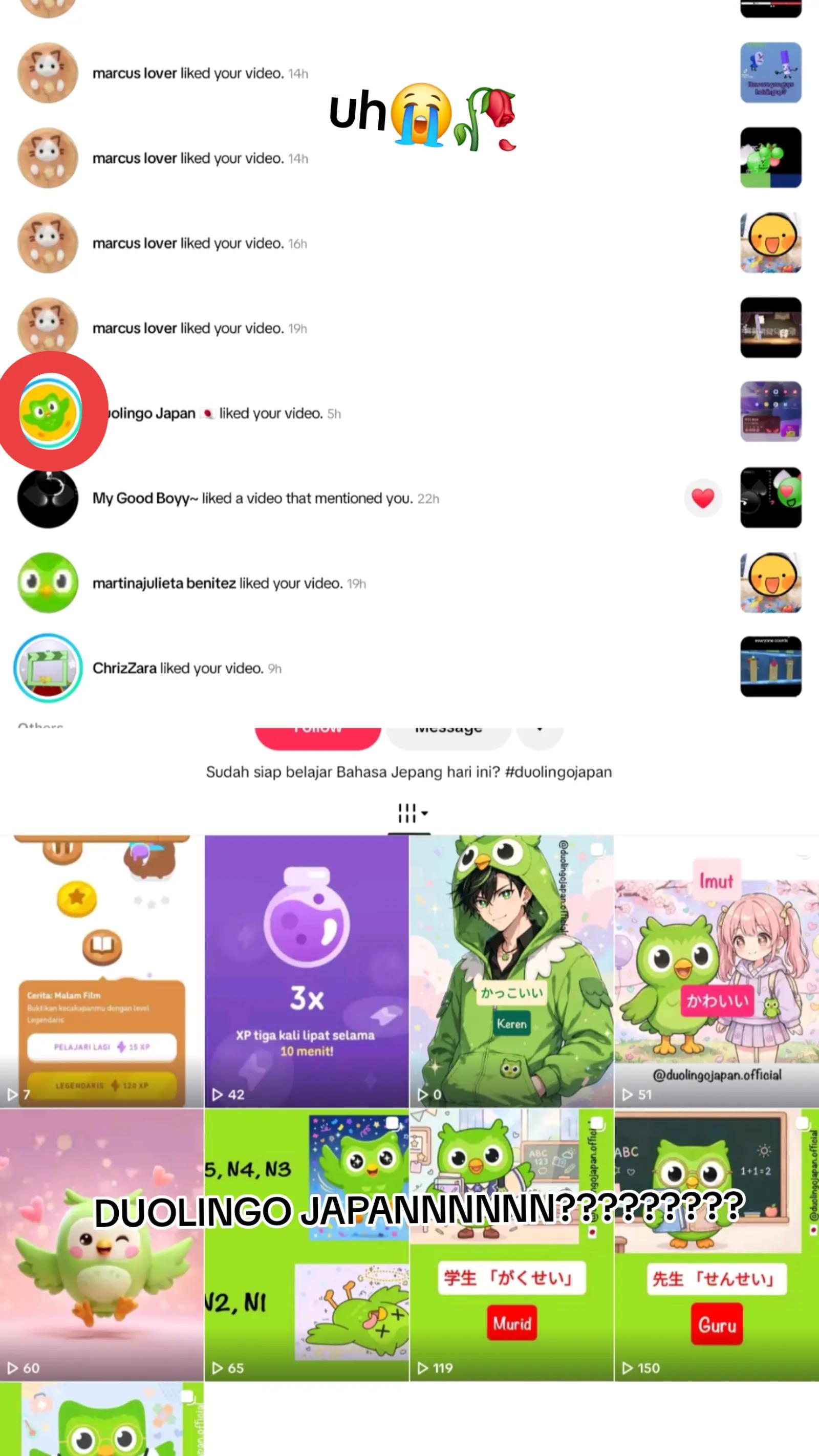 @GroxMC