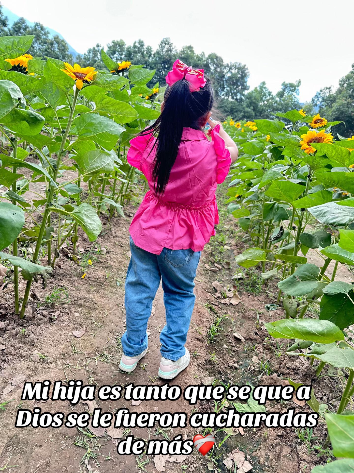 @Mar&iacute;a